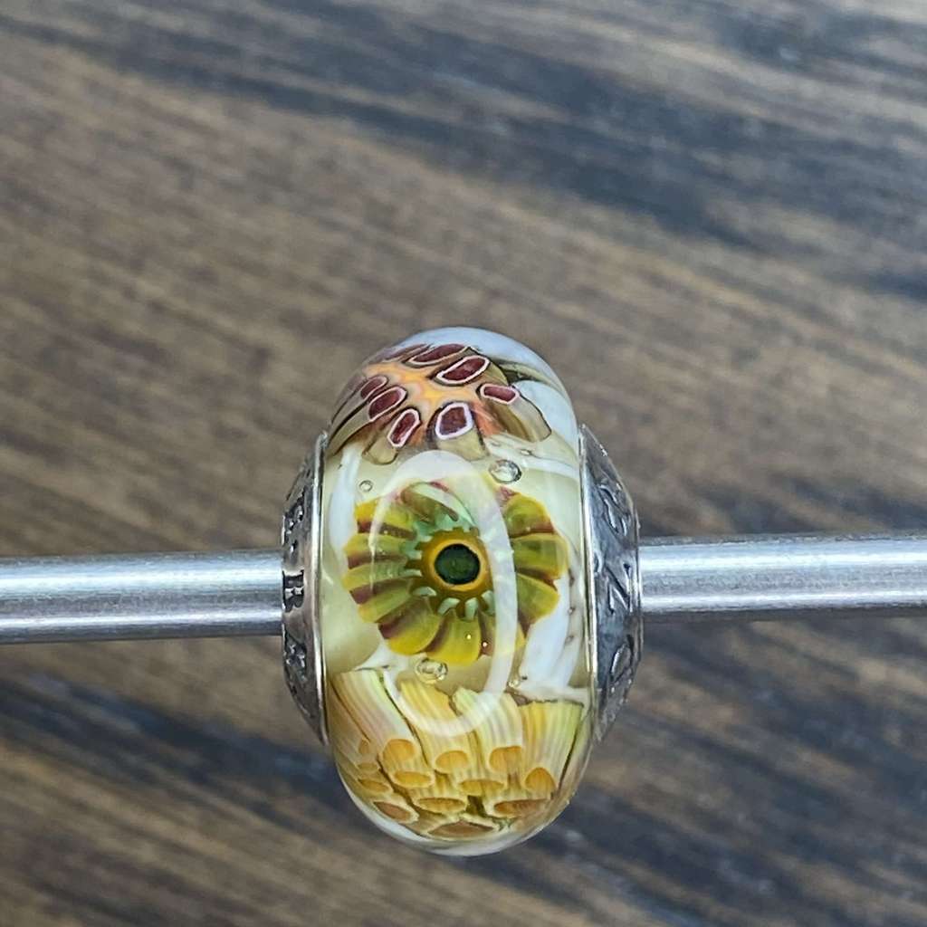 Sat AQUARIUM 6 plants only