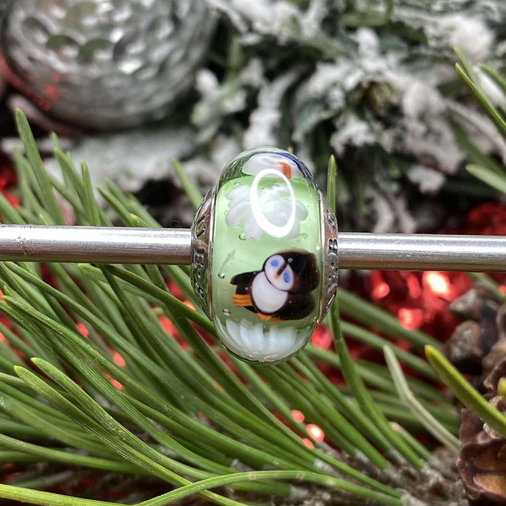 Sunday AQUARIUM 15 transparent cactus