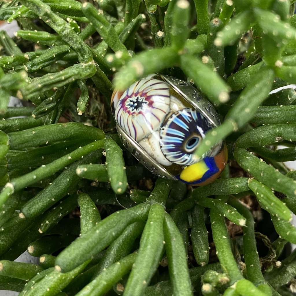 Sunday AQUARIUM  8 khaki fish