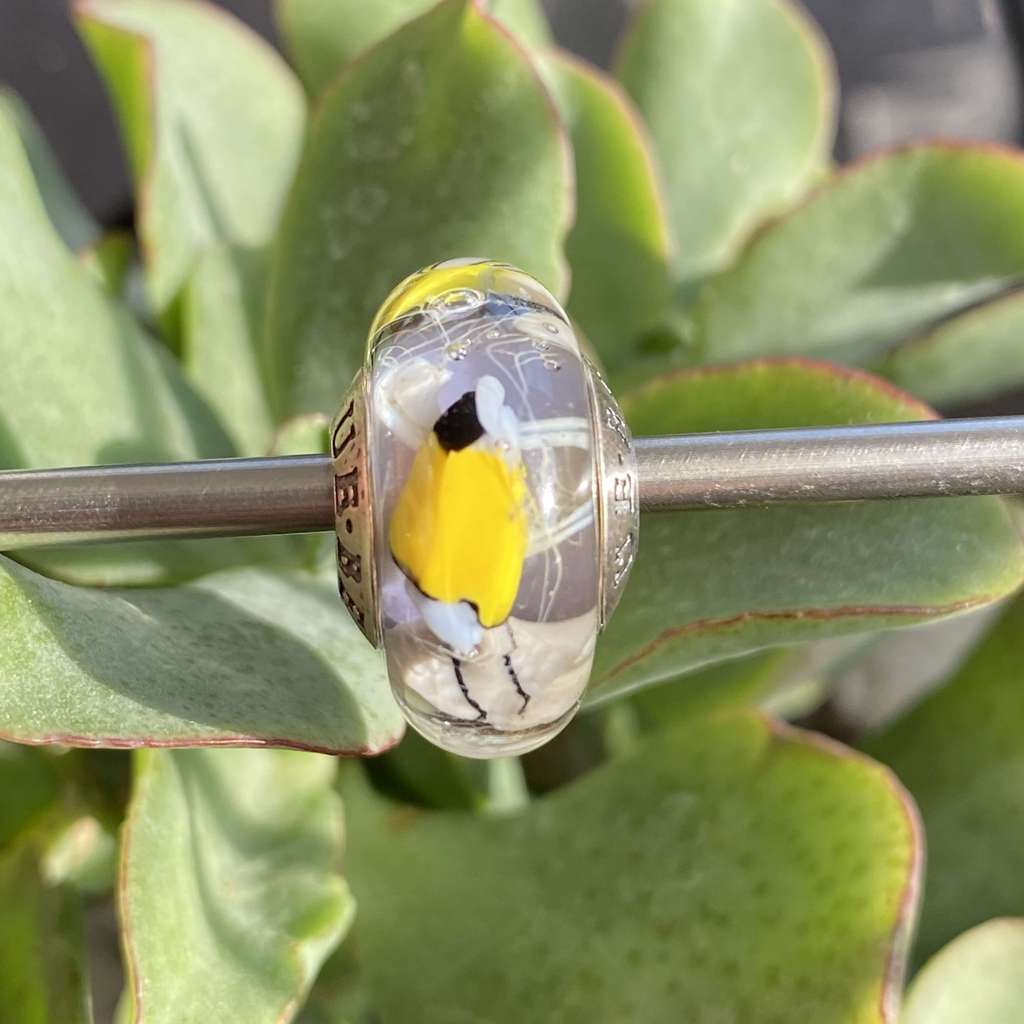 40 Sunday AQUARIUM bead