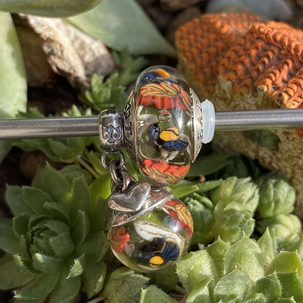 20 Saturday AQUARIUM  bee set