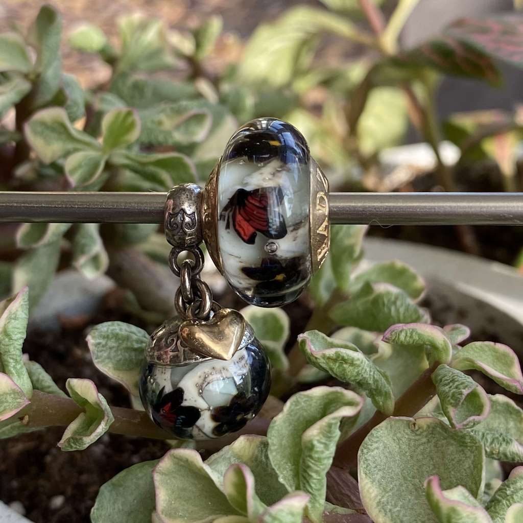 32 Sunday AQUARIUM two-tone set