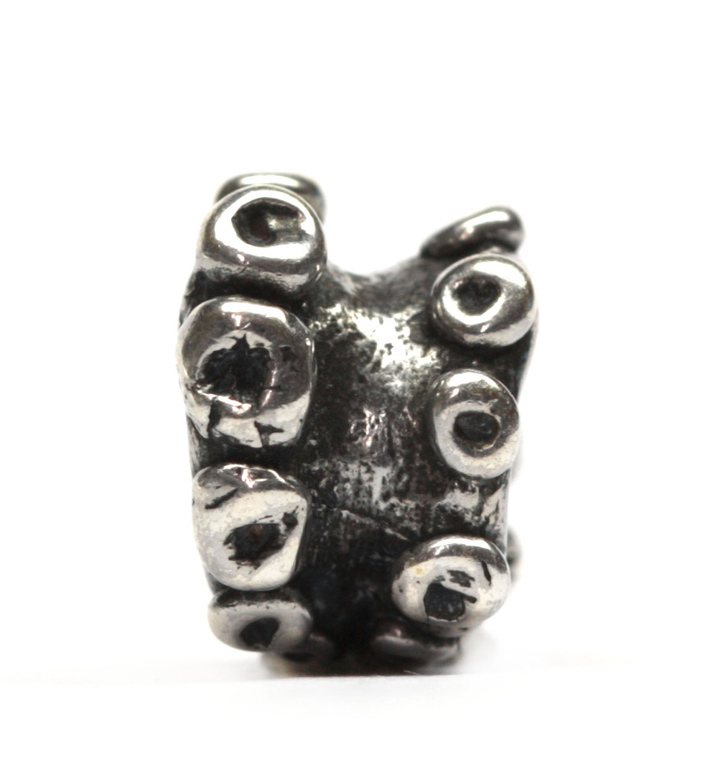 2790665 Baby Octopus