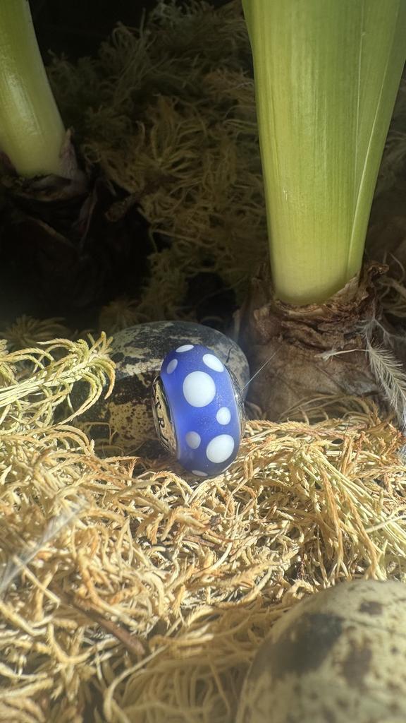 Reverse Eggshell dots