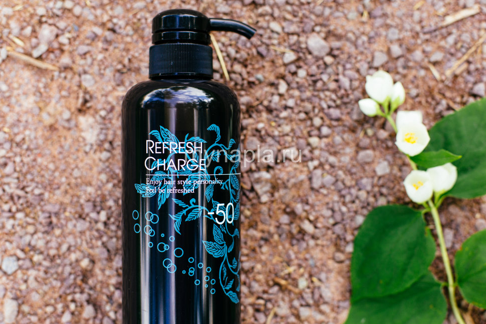 REFRESH CHARGE
