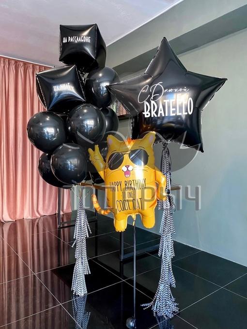 Набор шаров прикольный кот