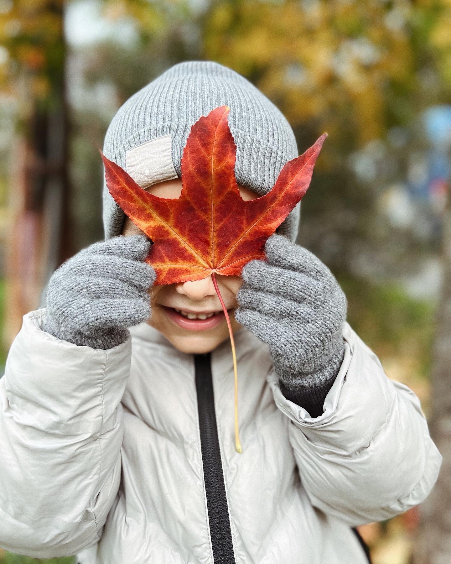 Перчатки для крошки