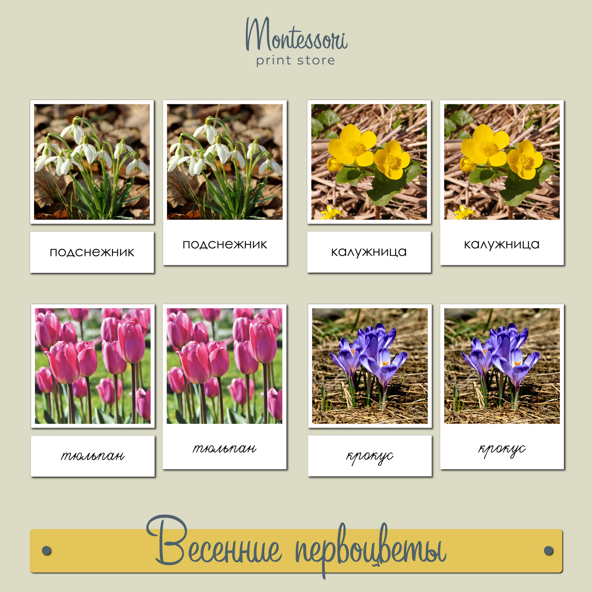 Весенние первоцветы - карточки Монтессори купить и скачать