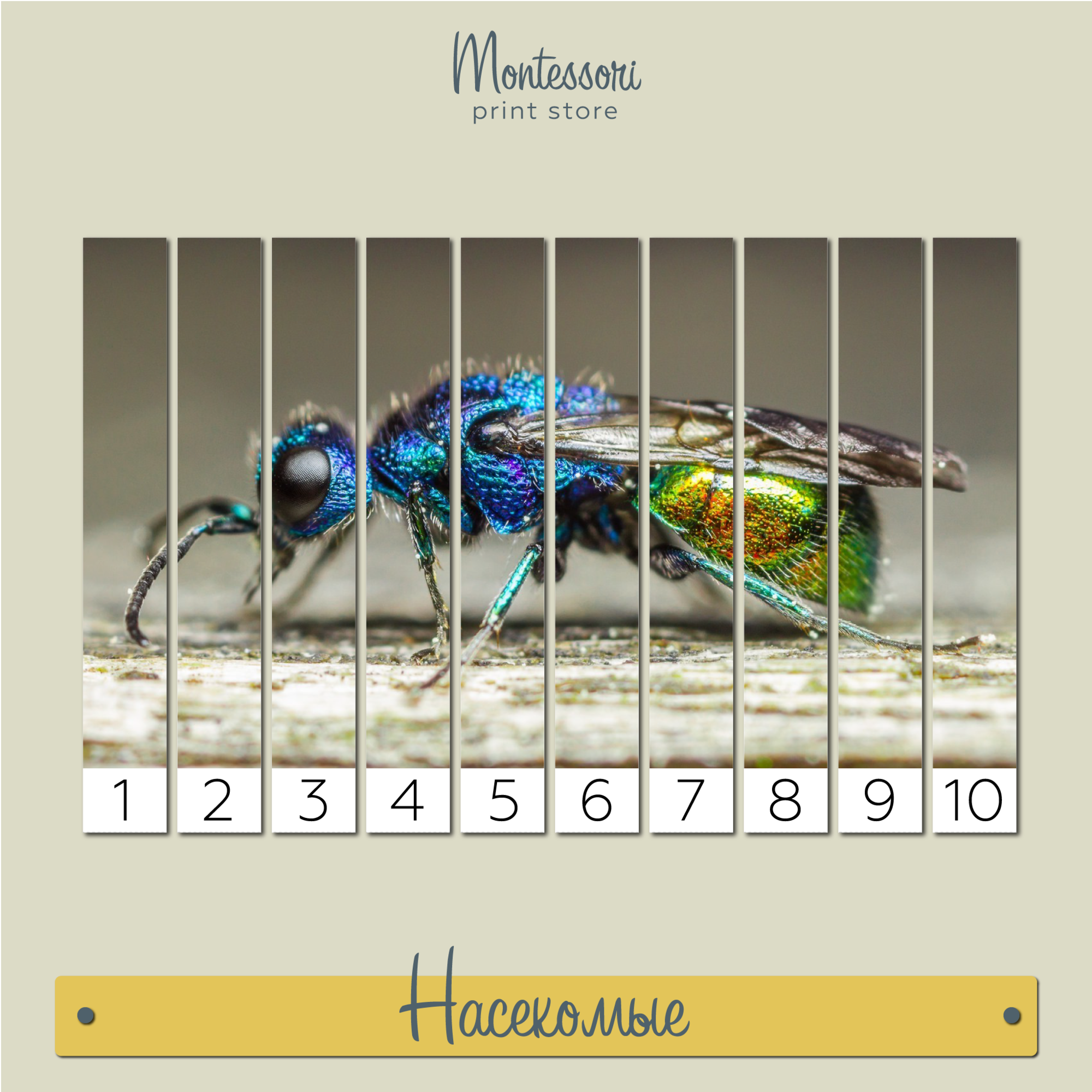 Математические пазлы Насекомые купить и скачать