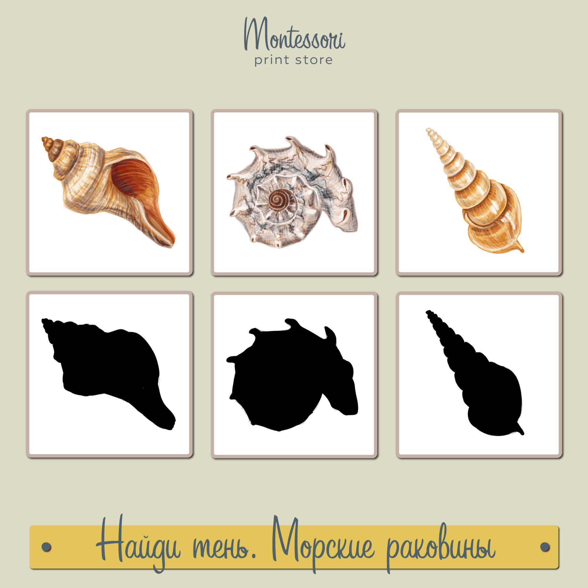 Найди тень Морские раковины скачать