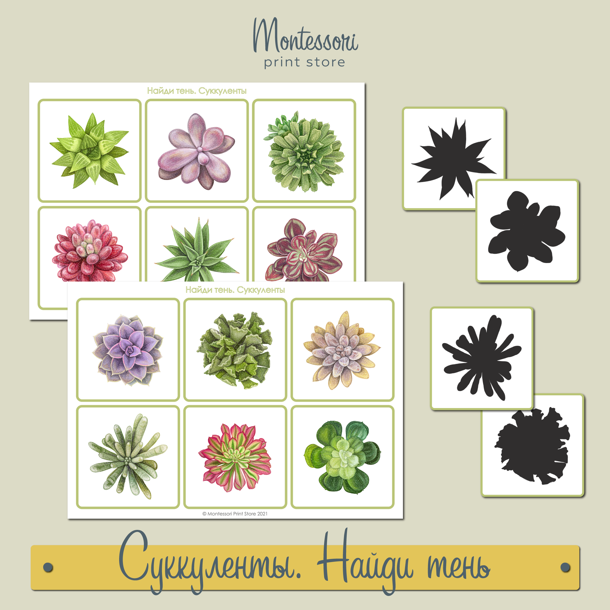 Найди тень Суккуленты - карточки Монтессори скачать