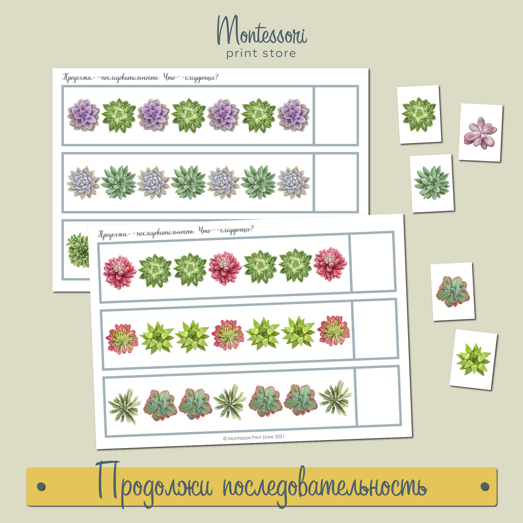 Продолжи последовательность - Суккуленты скачать