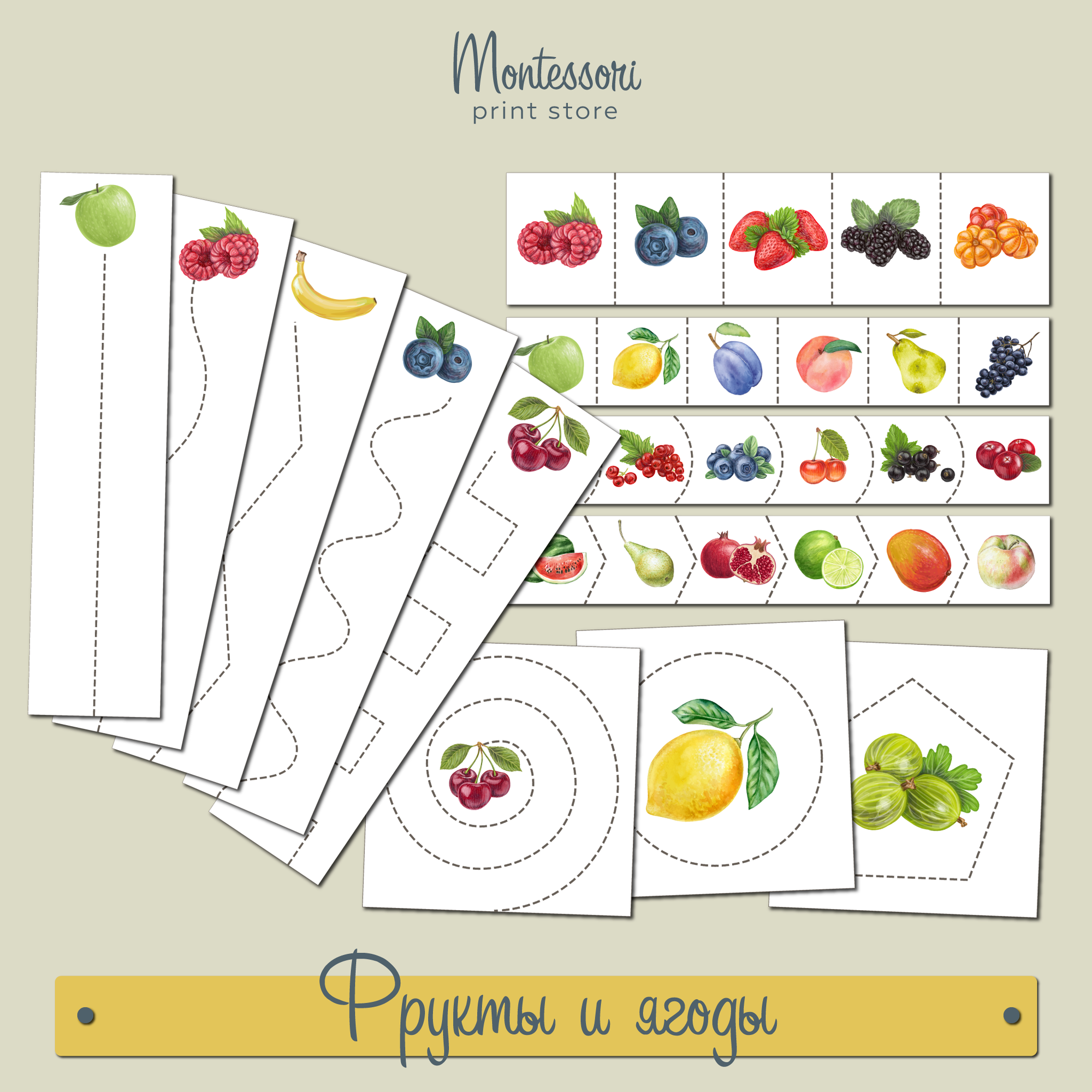 Полосы для вырезания Фрукты и ягоды - вырезание Монтессори купить и скачать