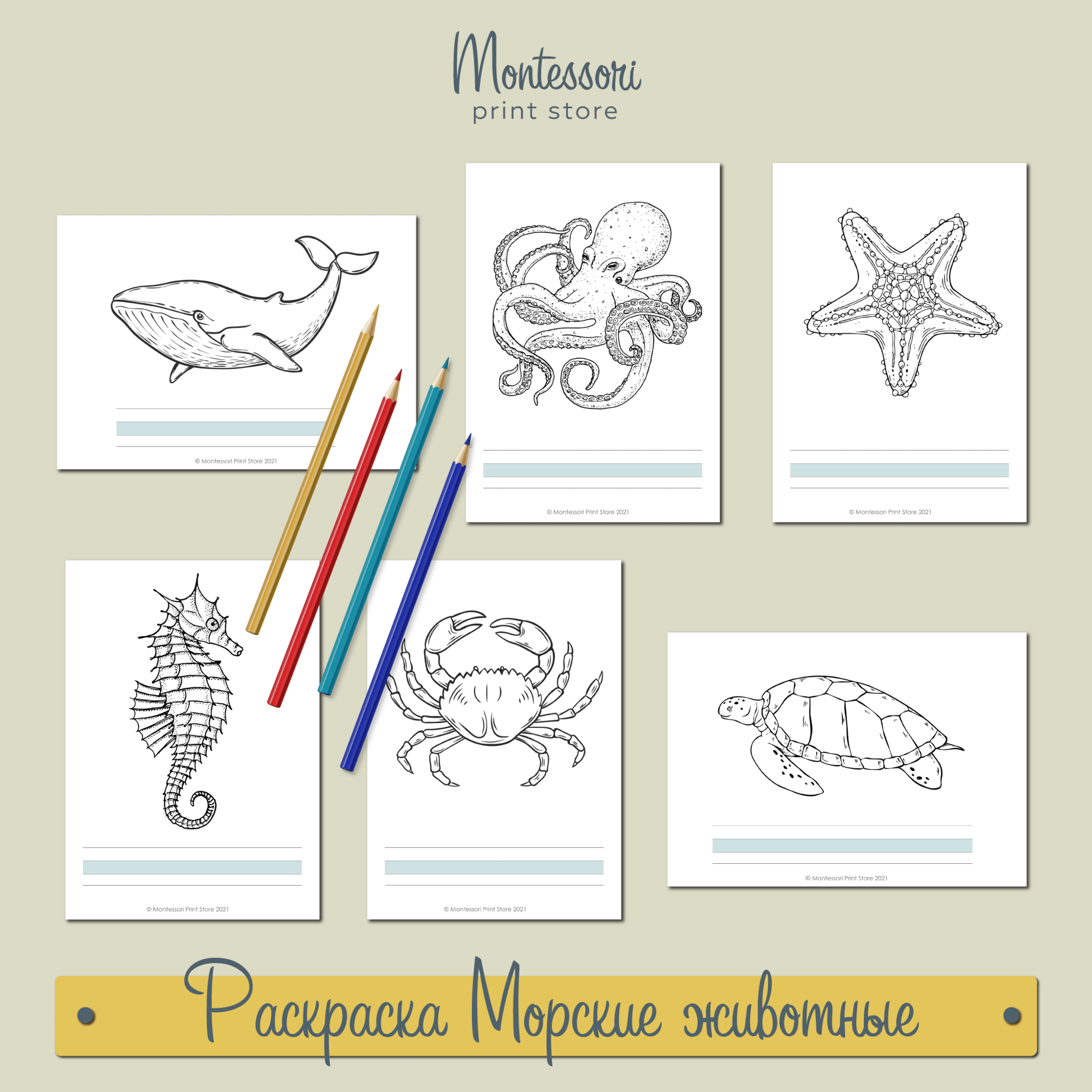 Раскраска Морские животные - карточки Монтессори купить и скачать