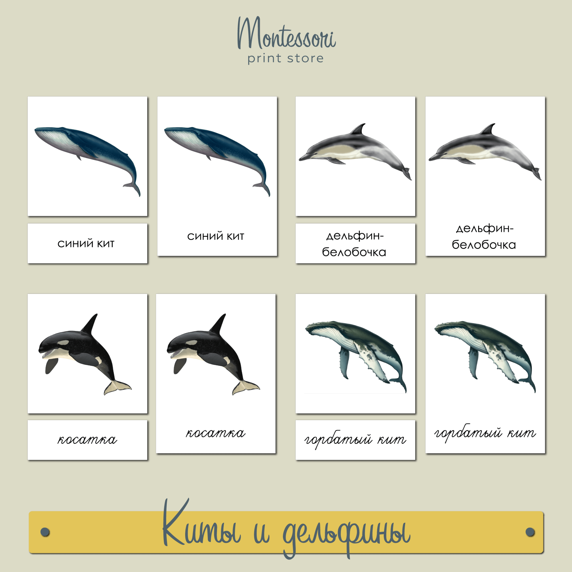 Трехчастные карточки Киты и дельфины - карточки Монтессори купить и скачать