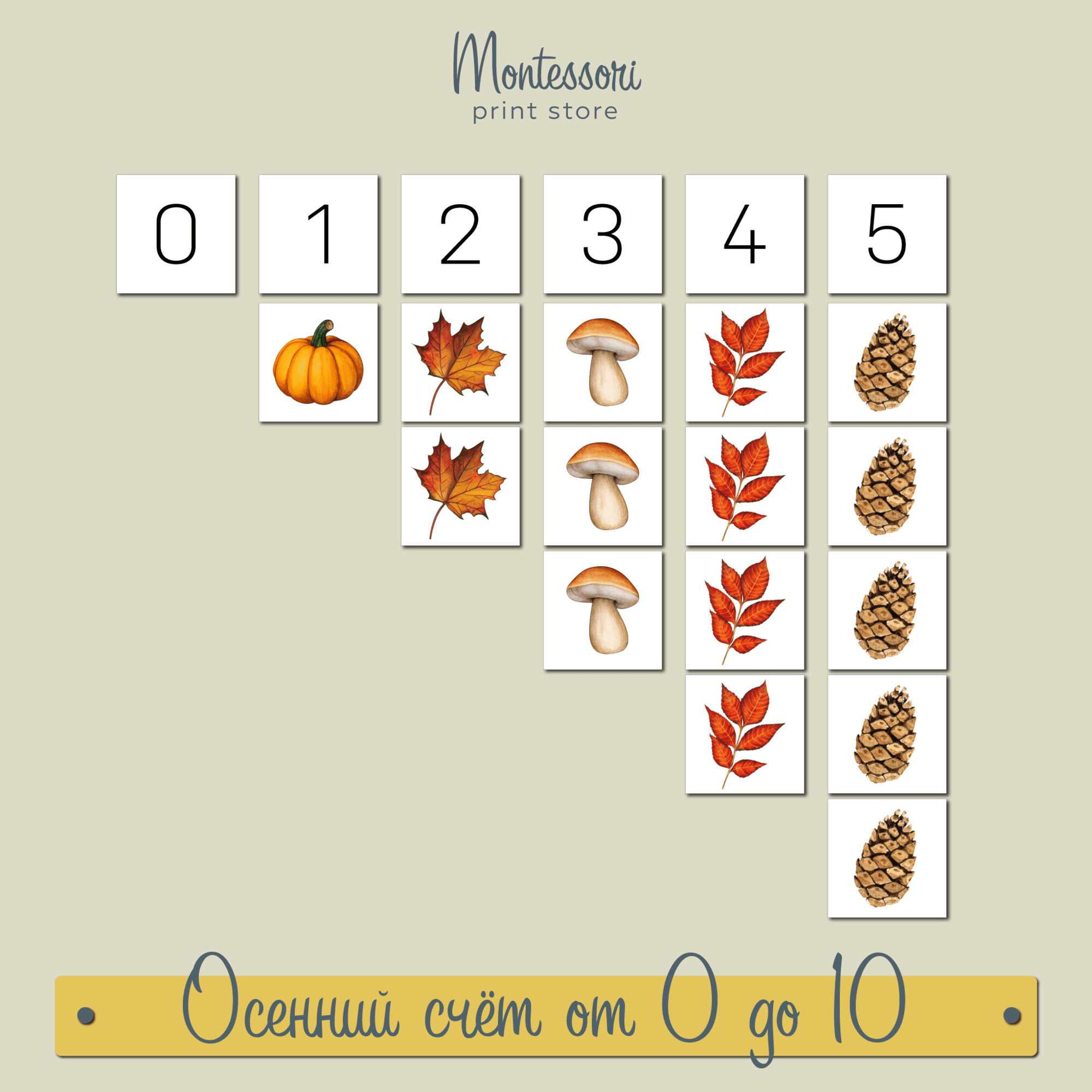 Осенний счёт от 0 до 10 - Математика Монтессори купить и скачать