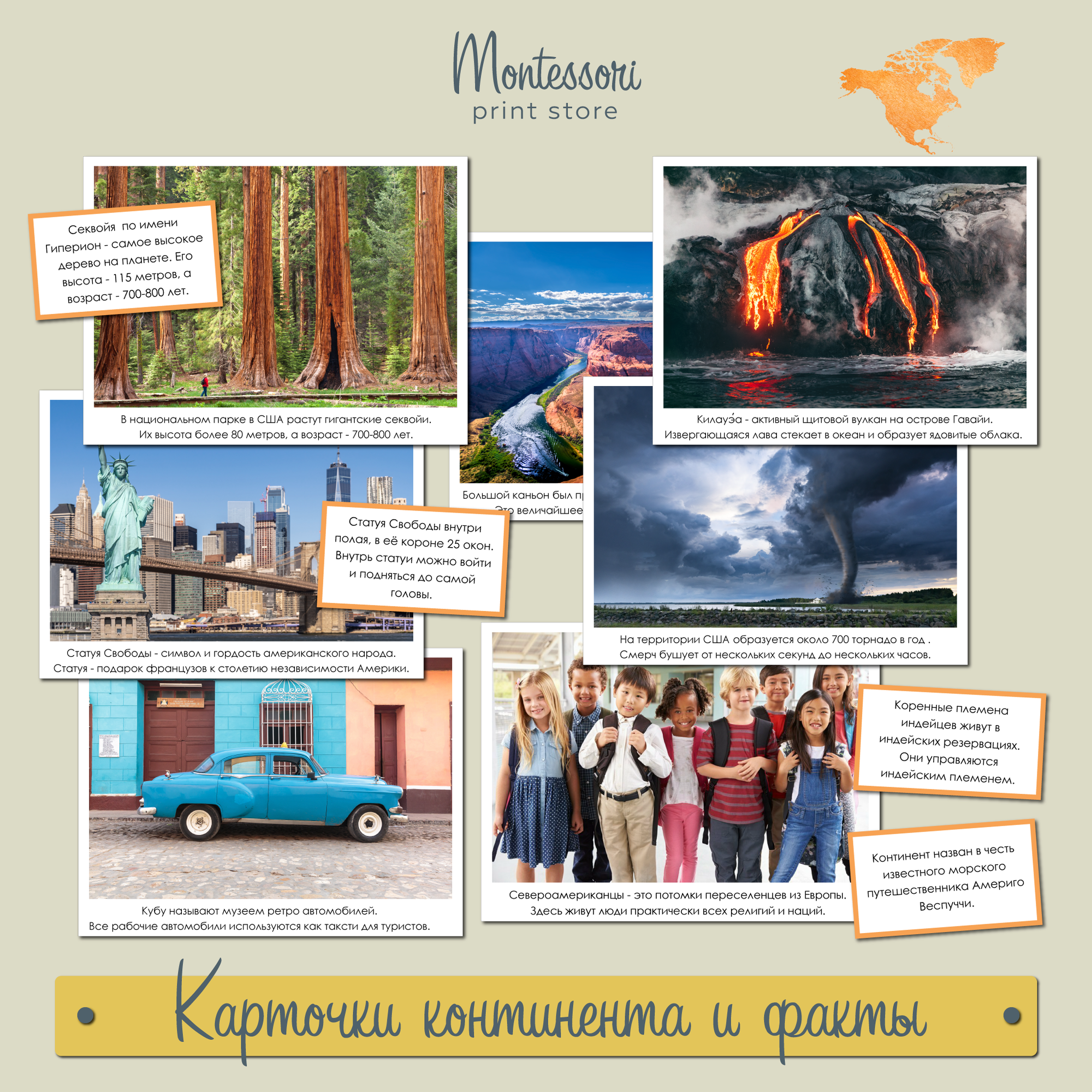 Карточки континента и факты Северная Америка - География Монтессори купить и скачать