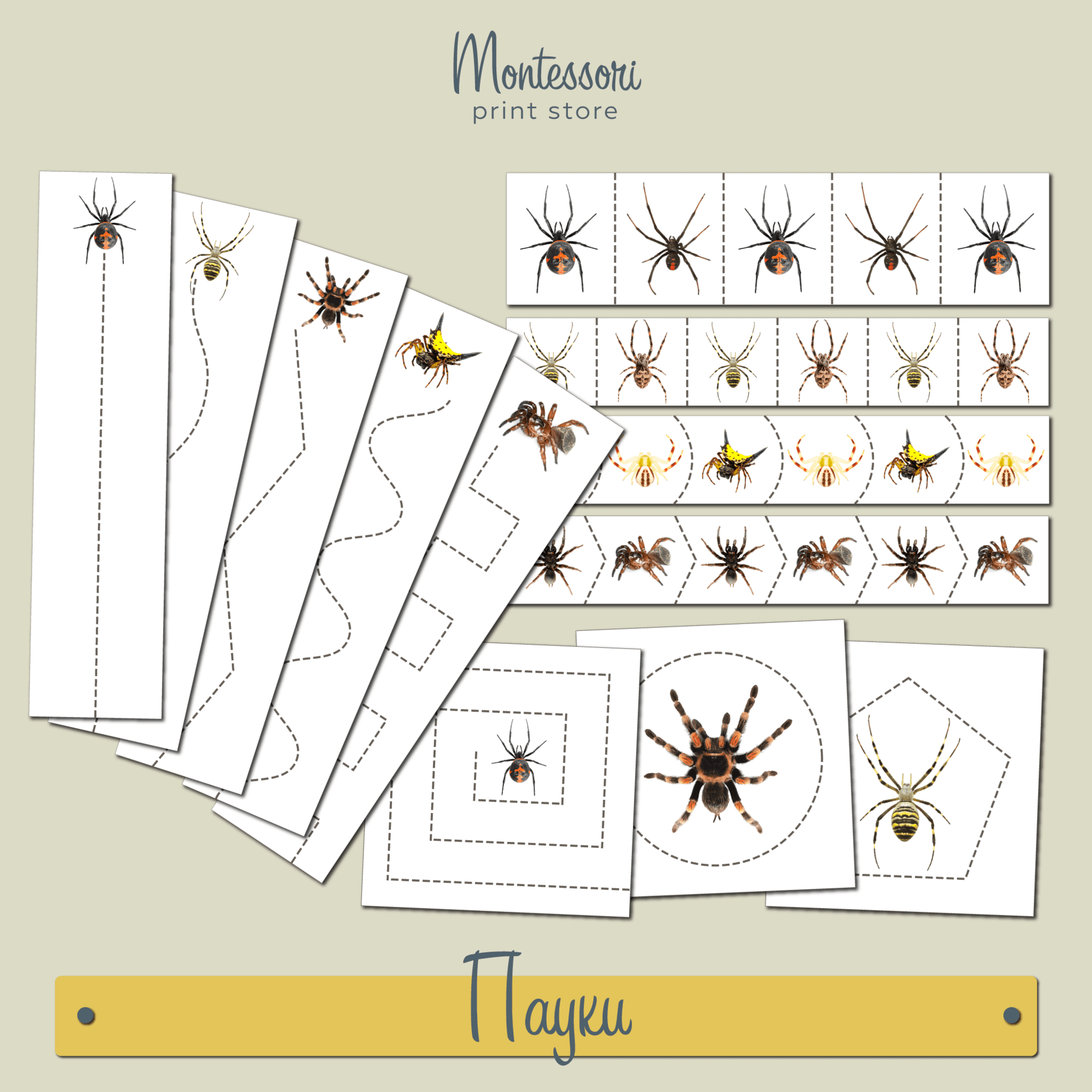 Вырезание Монтессори Пауки - карточки Монтессори купить и скачать