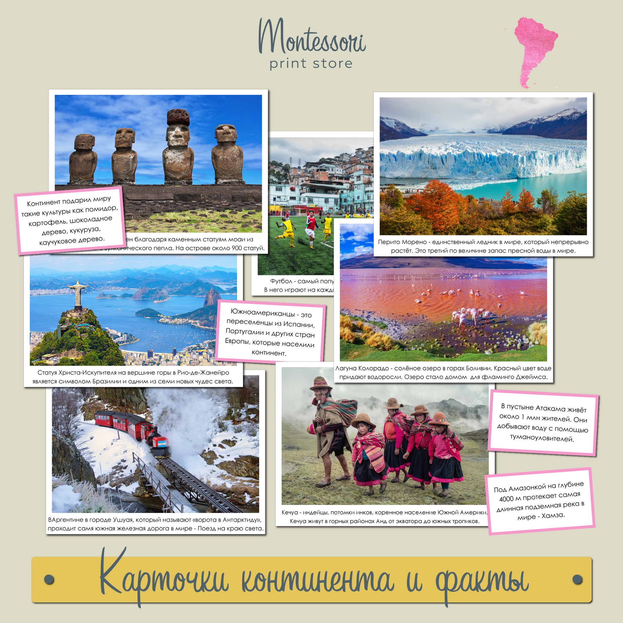 Карточки континента и факты Южная Америка - география Монтессори купить и скачать