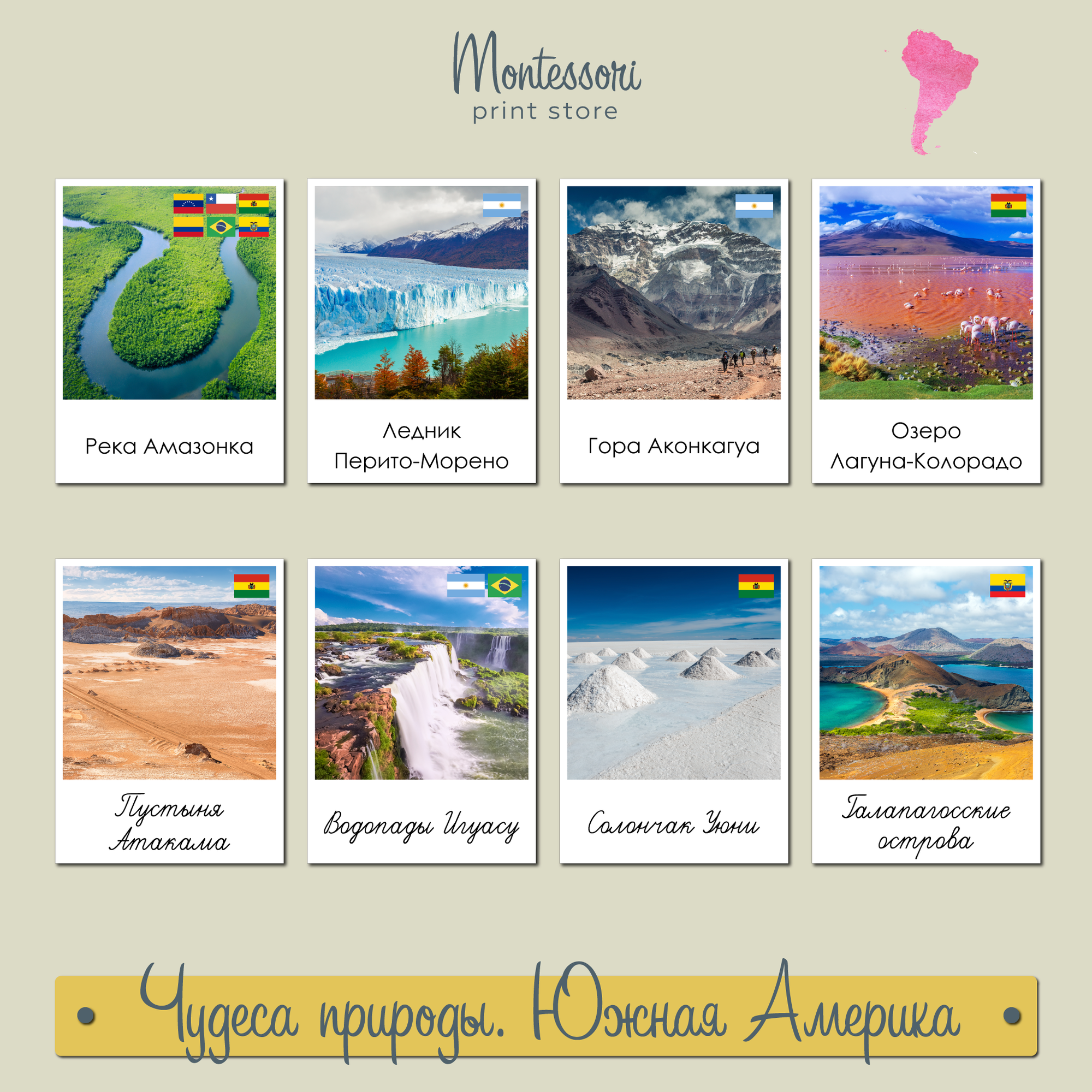 Чудеса природы Южной Америки - карточки Монтессори купить и скачать