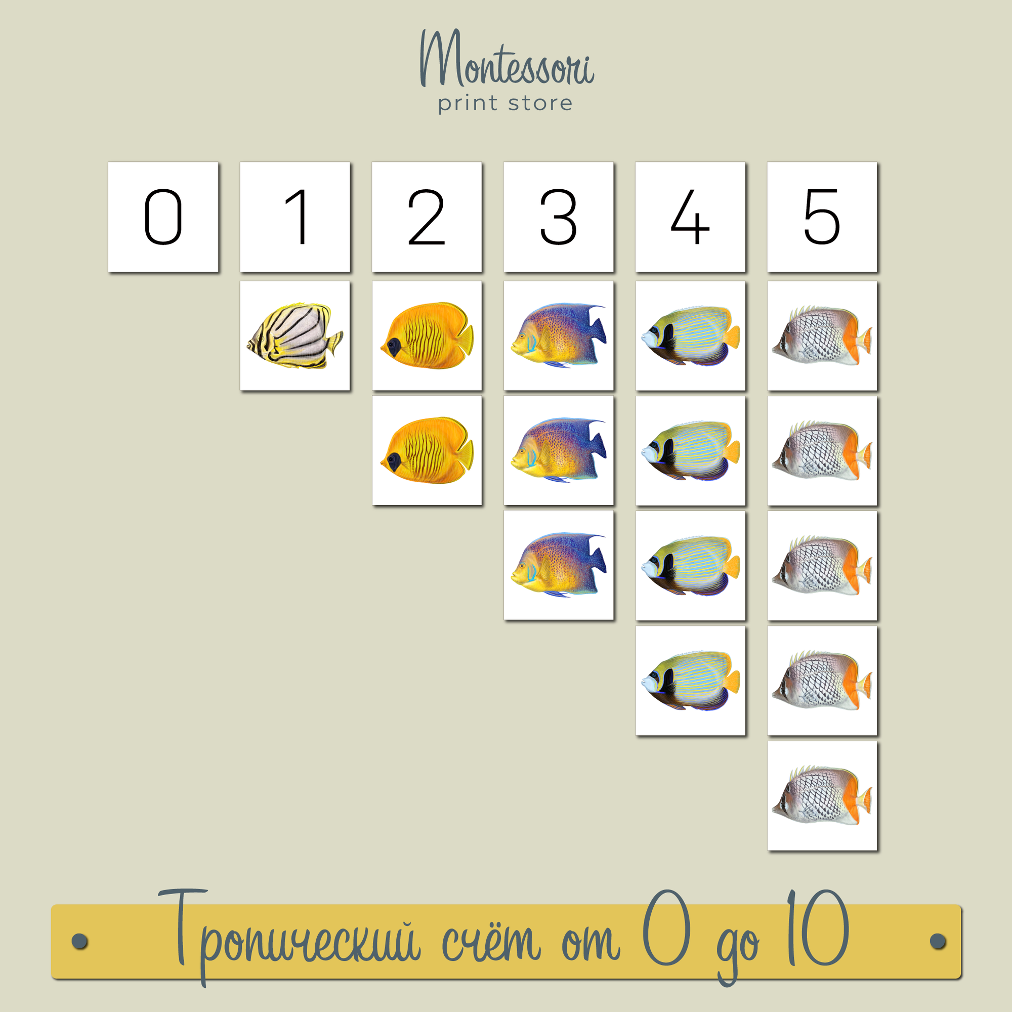Тропические рыбы счет от 0 до 10 - математика Монтессори купить и скачать