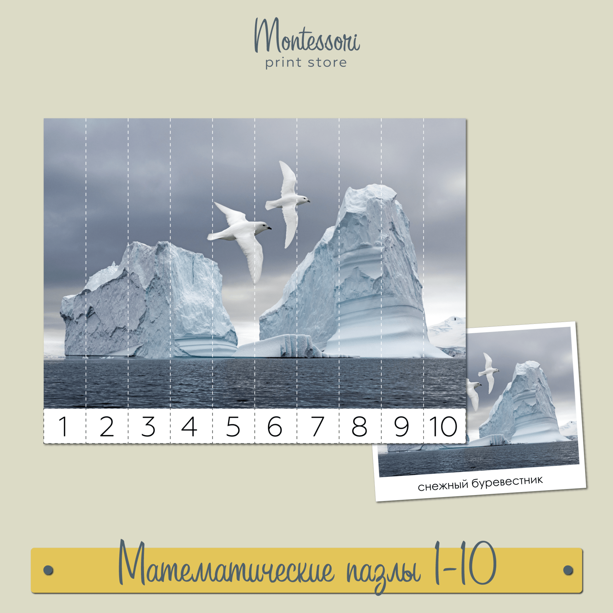 Антарктида математические пазлы 1-10 - Математика Монтессори купить и скачать