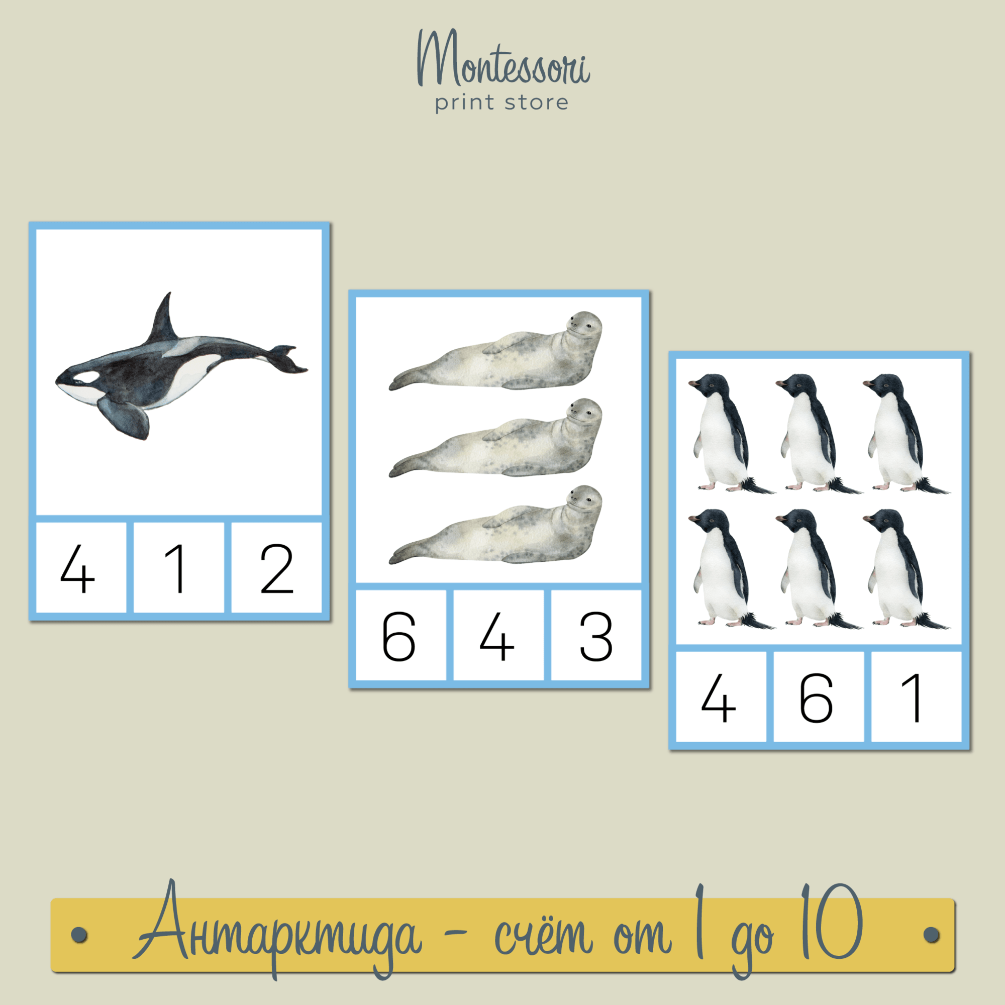 Животные Антарктиды - счет от 1 до 10 - математика Монтессори купить и скачать