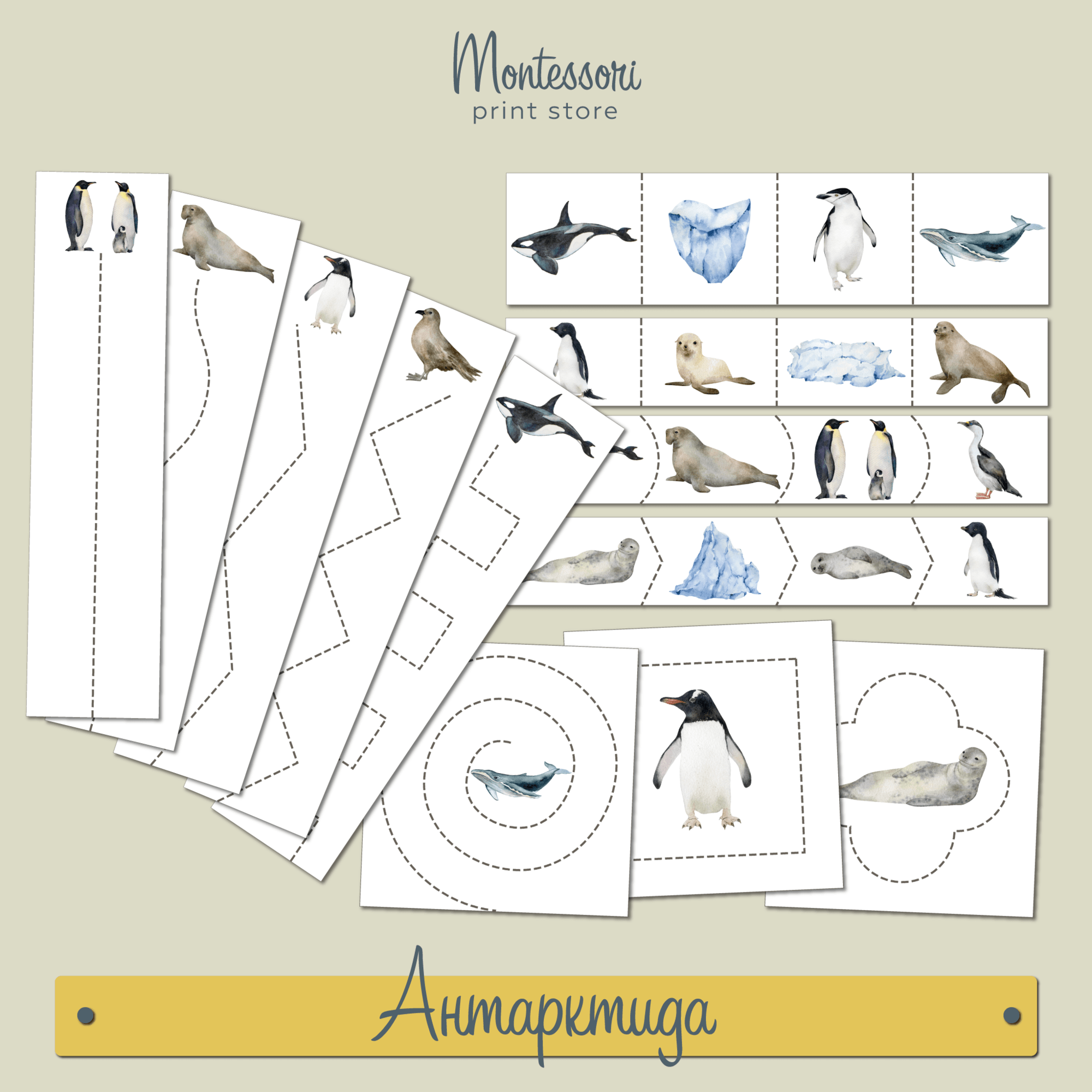 Животные Антарктиды - вырезание Монтессори купить и скачать