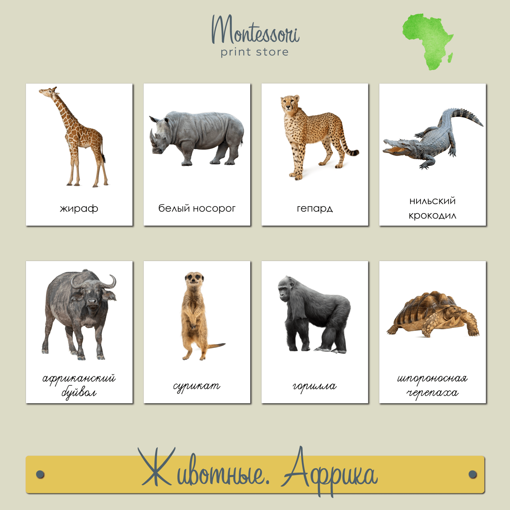 Животные Африки - карточки Монтессори география купить и скачать