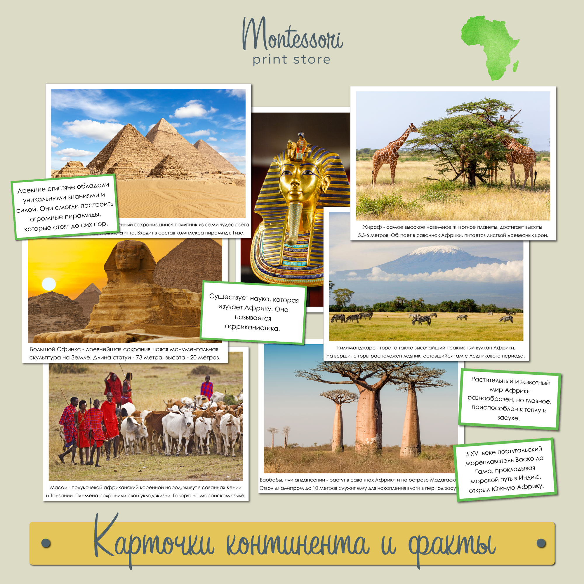 Карточки континента и факты Африка - география Монтессори купить и скачать