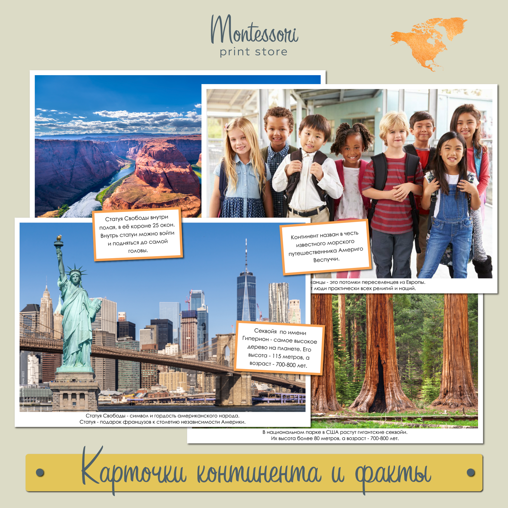 Карточки континента и факты Северная Америка - география Монтессори купить и скачать