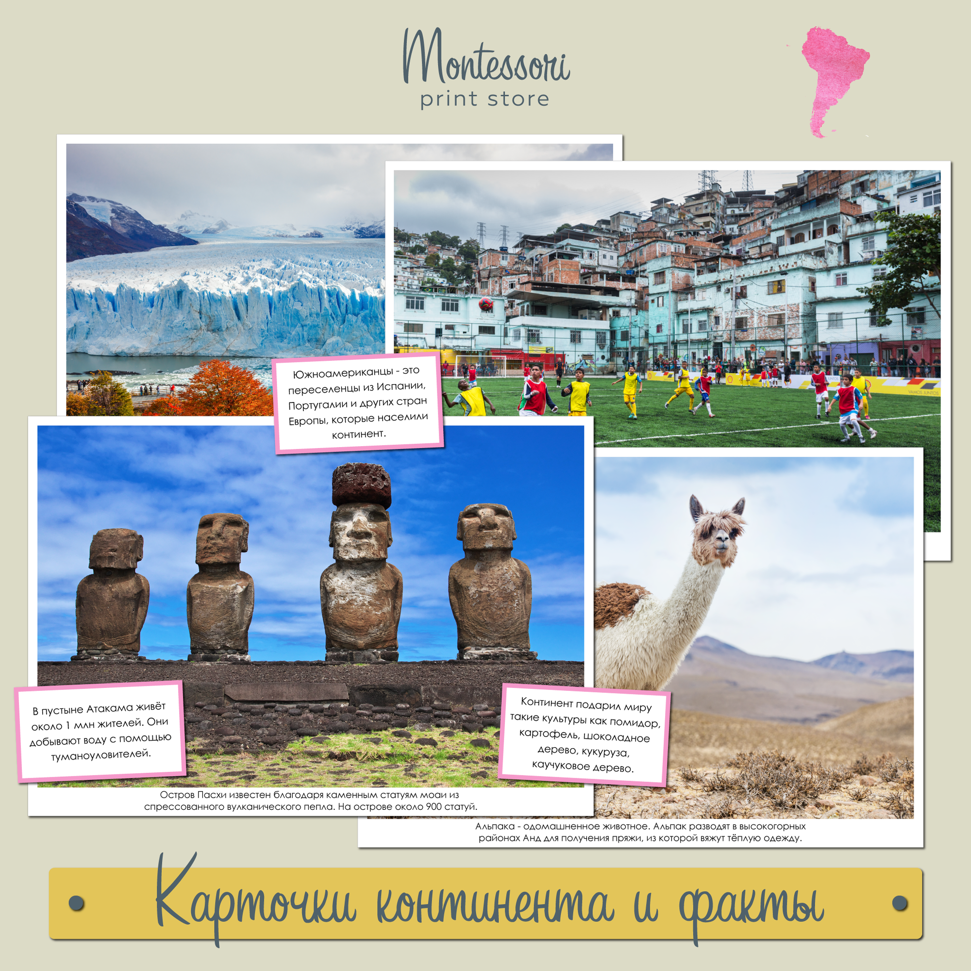 Карточки континента и факты Южная Америка - география Монтессори купить и скачать