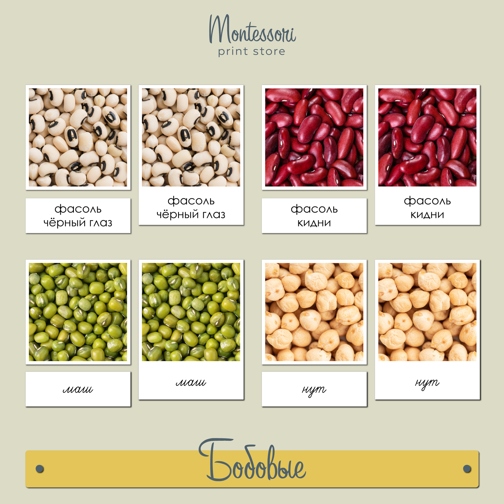 Чтение с классификацией Бобовые - карточки Монтессори купить и скачать