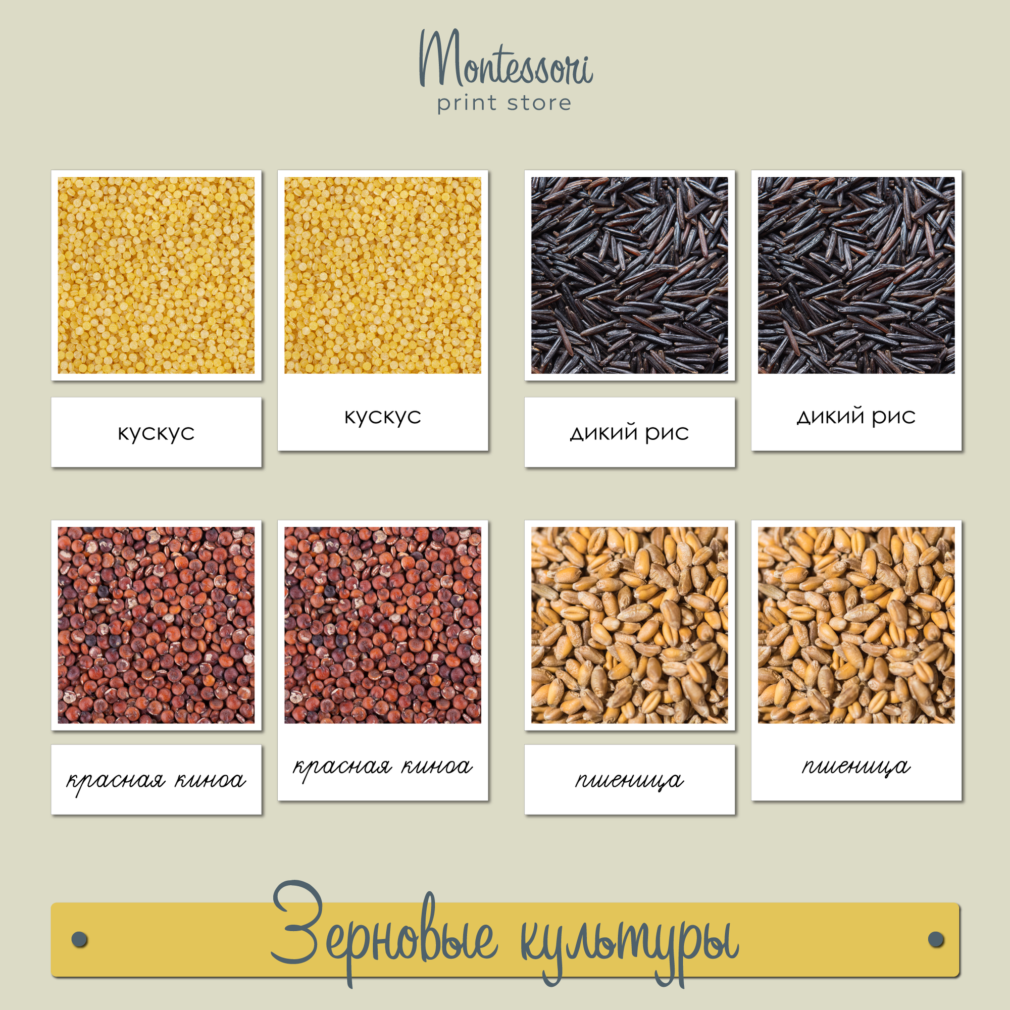Чтение с классификацией Зерновые культуры - карточки  Монтессори купить и скачать