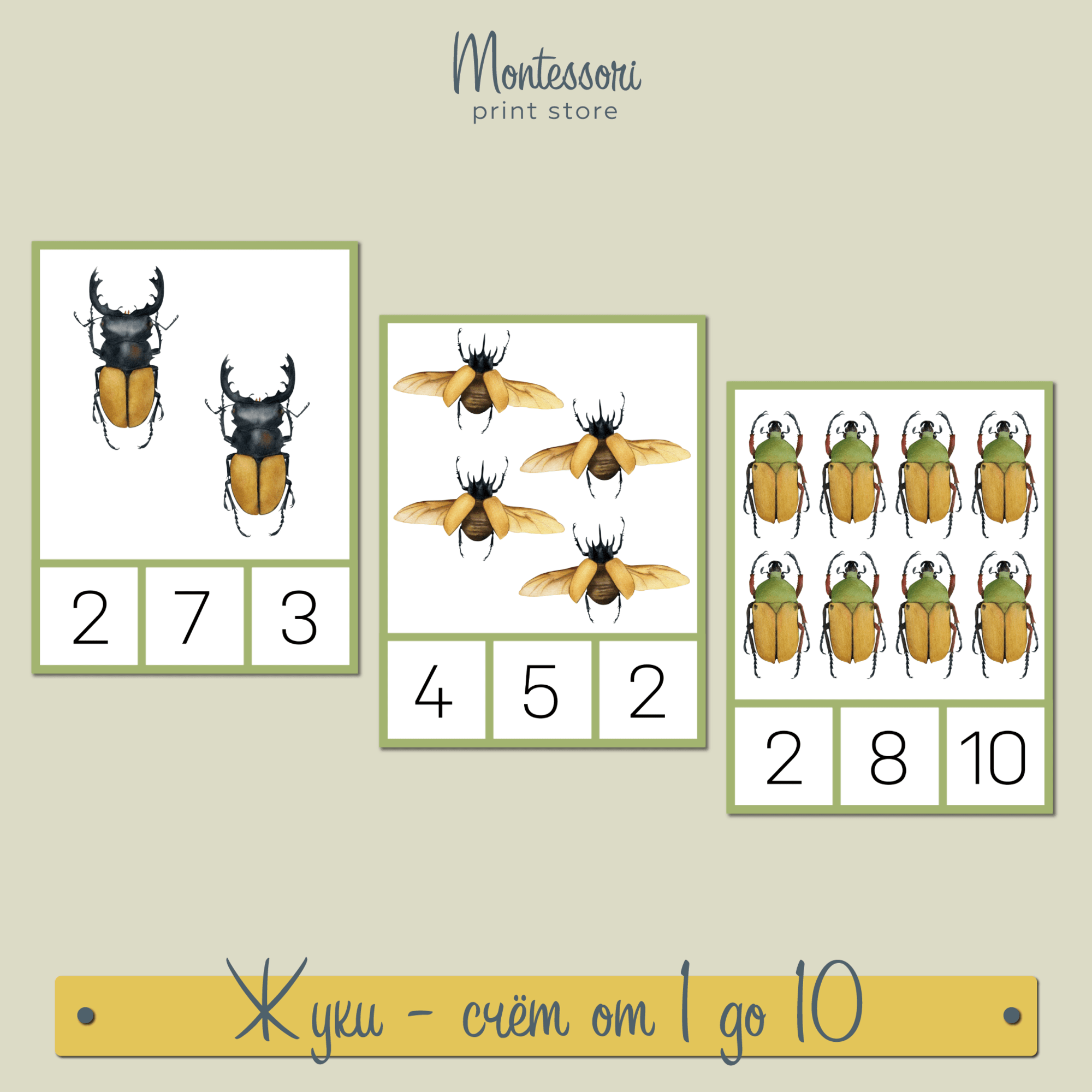 Тропические жуки счет от 1 до 10 - математика Монтессори купить и скачать