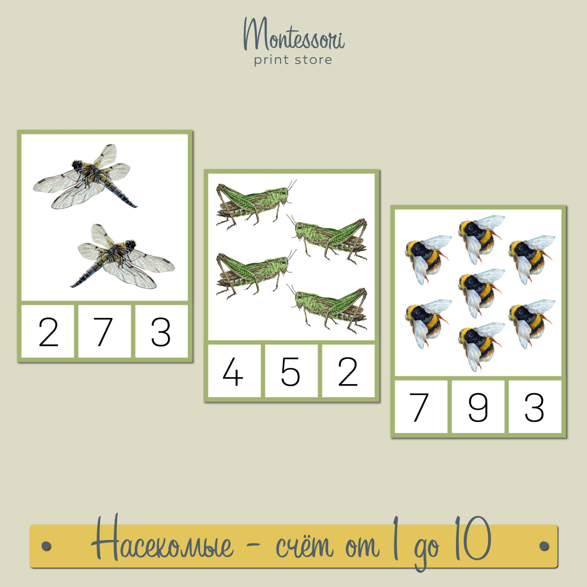 НАСЕКОМЫЕ - СЧЁТ ОТ 1 ДО 10