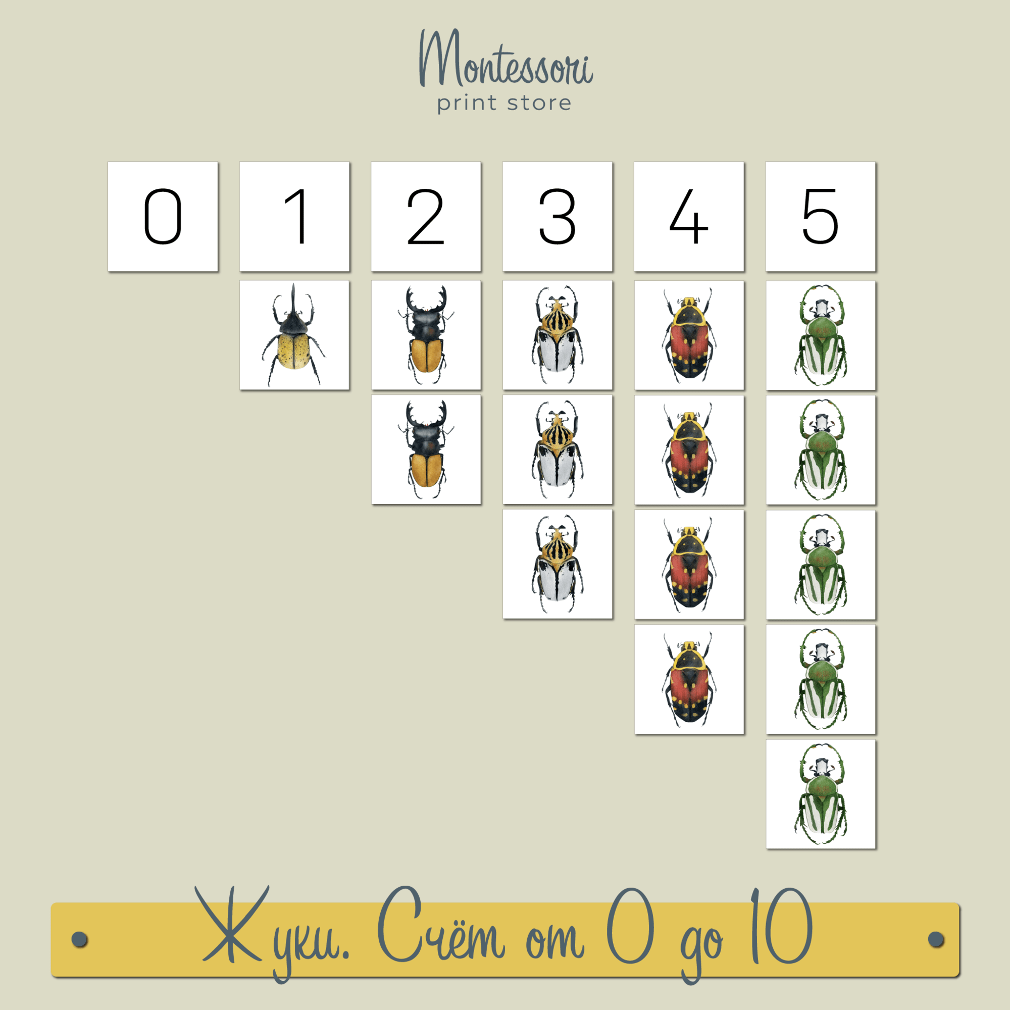 ЖУКИ - СЧЁТ ОТ 0 ДО 10