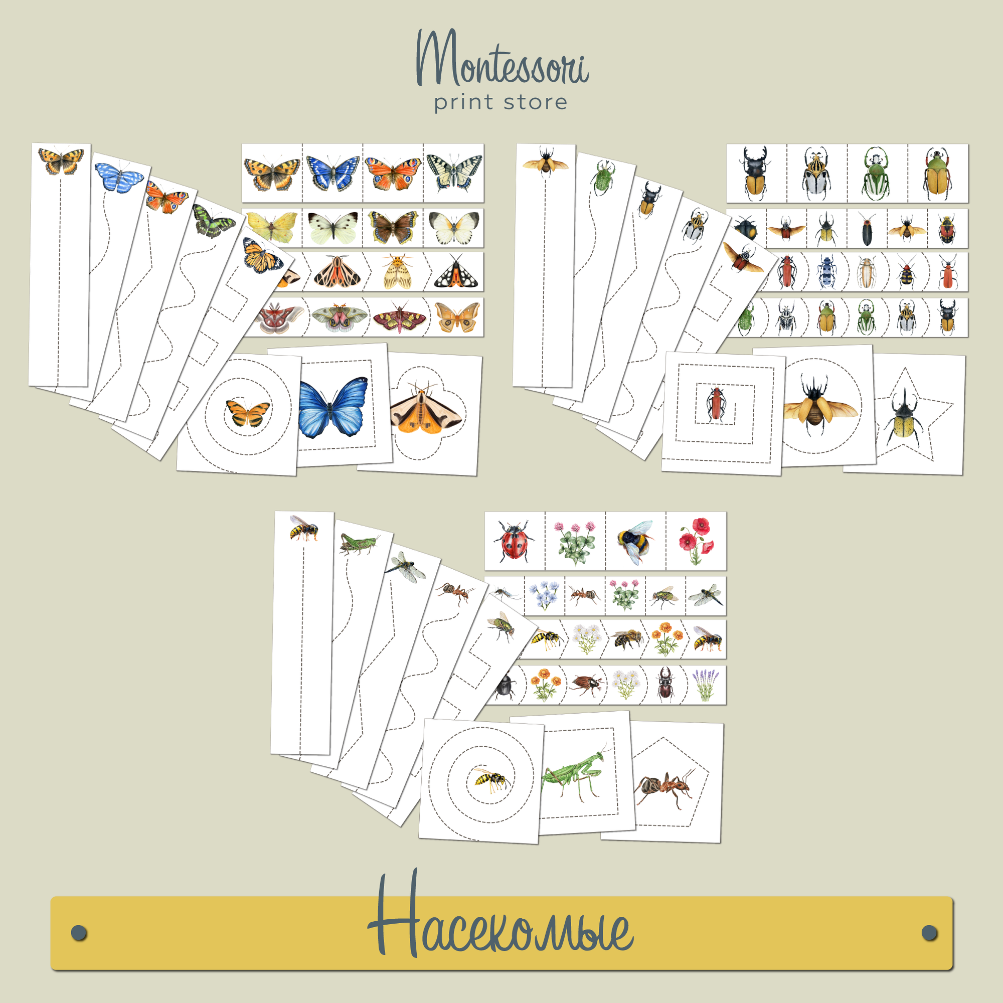 Полосы для вырезания Насекомые - Вырезание Монтессори купить и скачать