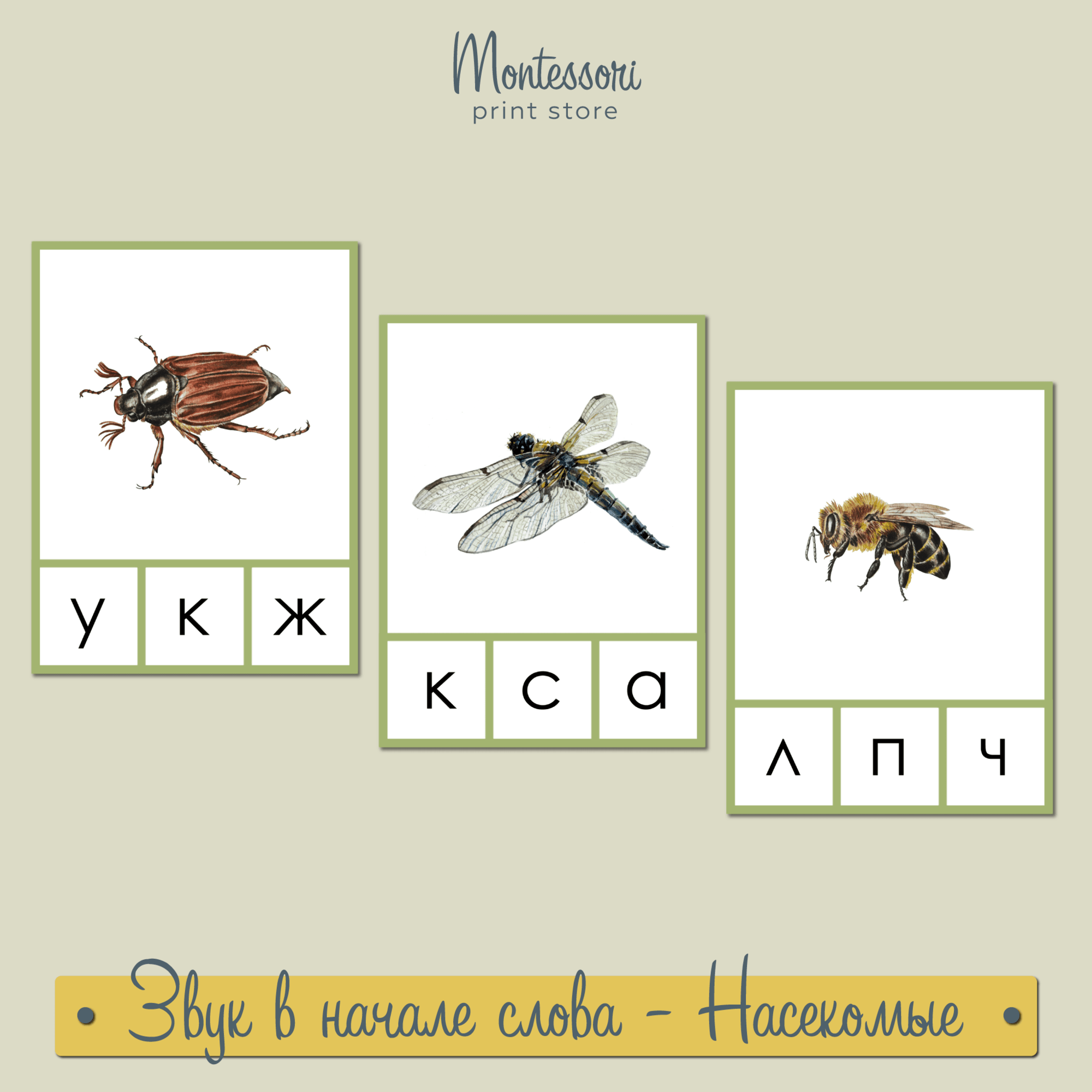 Найди звук в начале слова Насекомые - карточки Монтессори купить и скачать