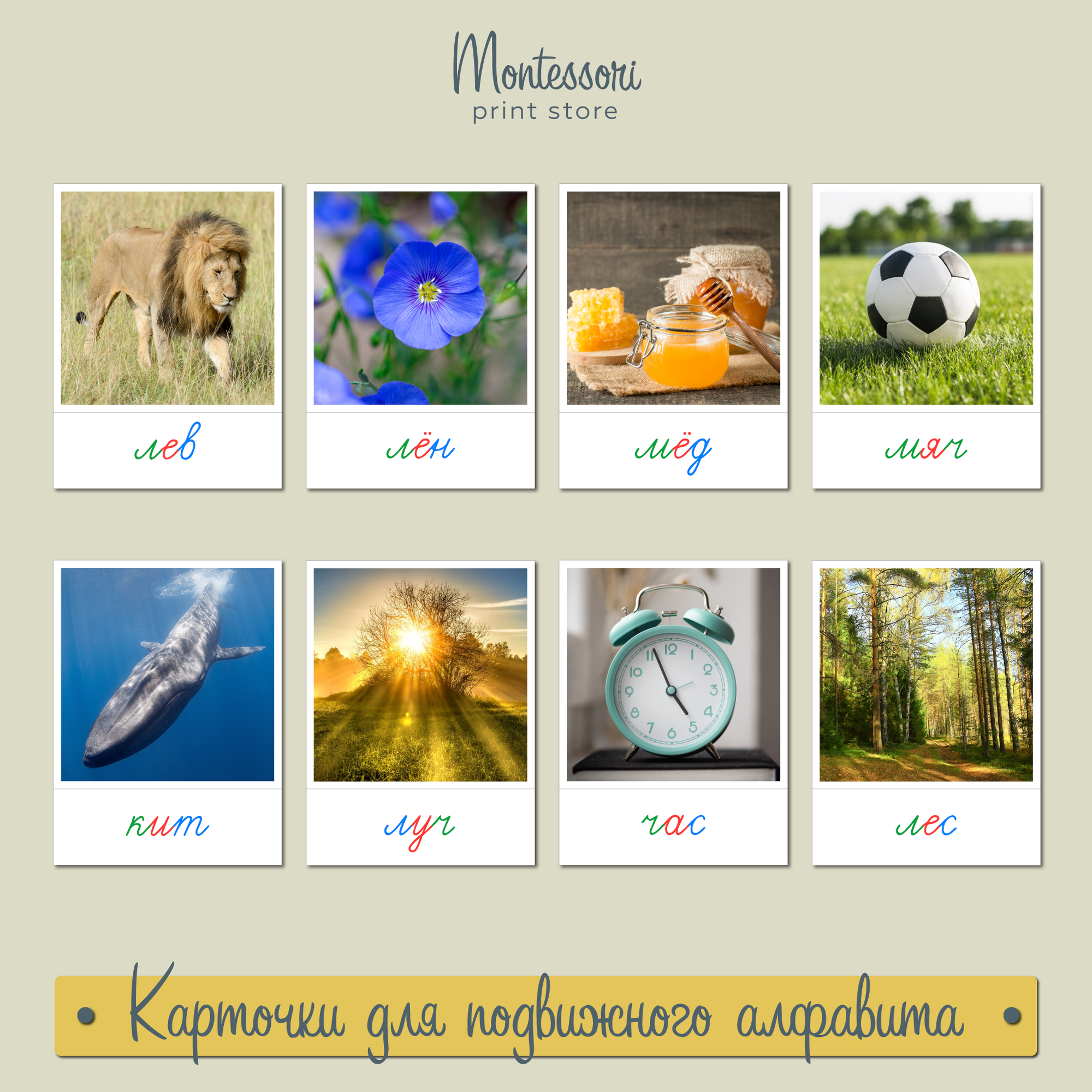 Карточки для трехцветного подвижного алфавита - карточки Монтессори купить и скачать