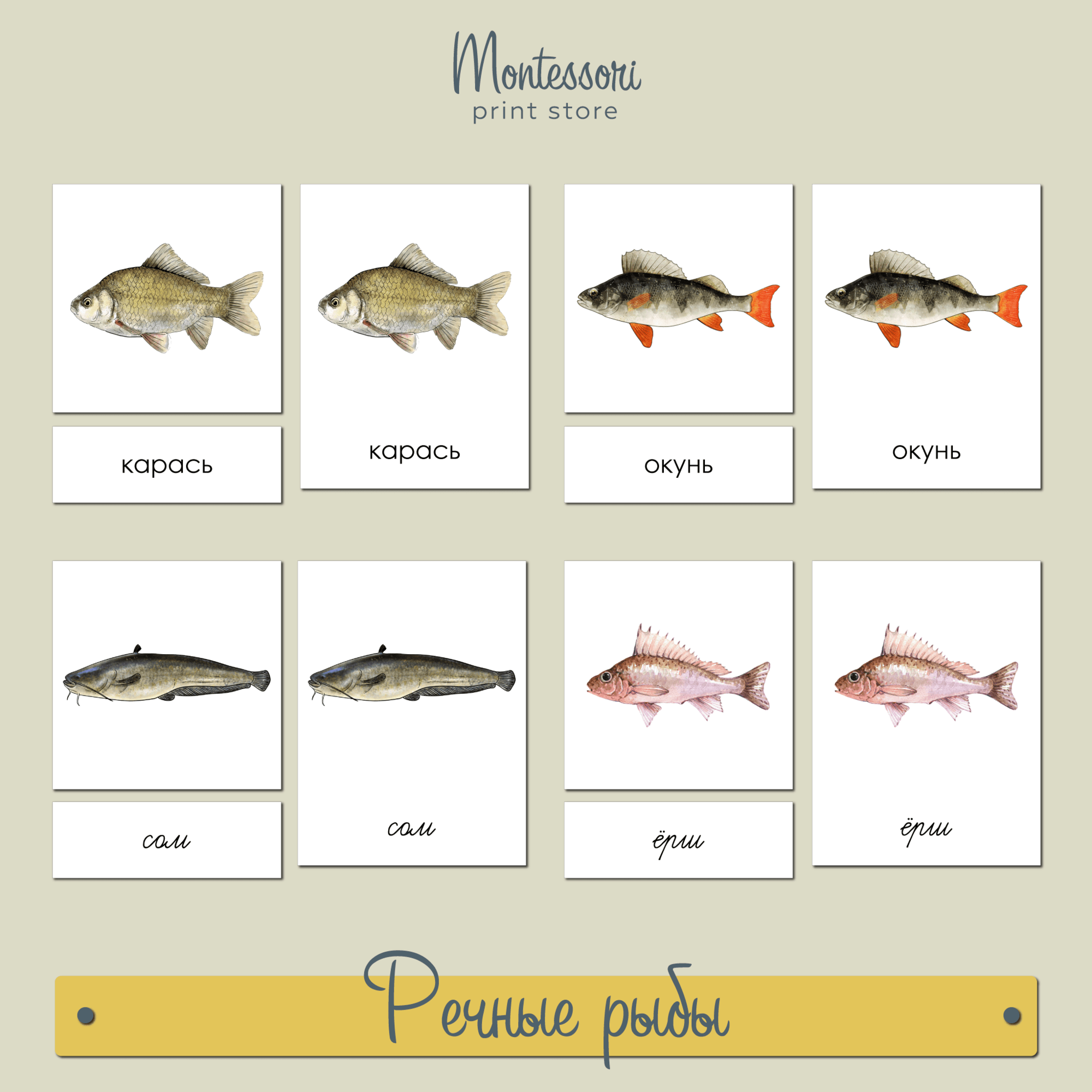 Речные рыбы - трехчастные карточки Монтессори купить и скачать