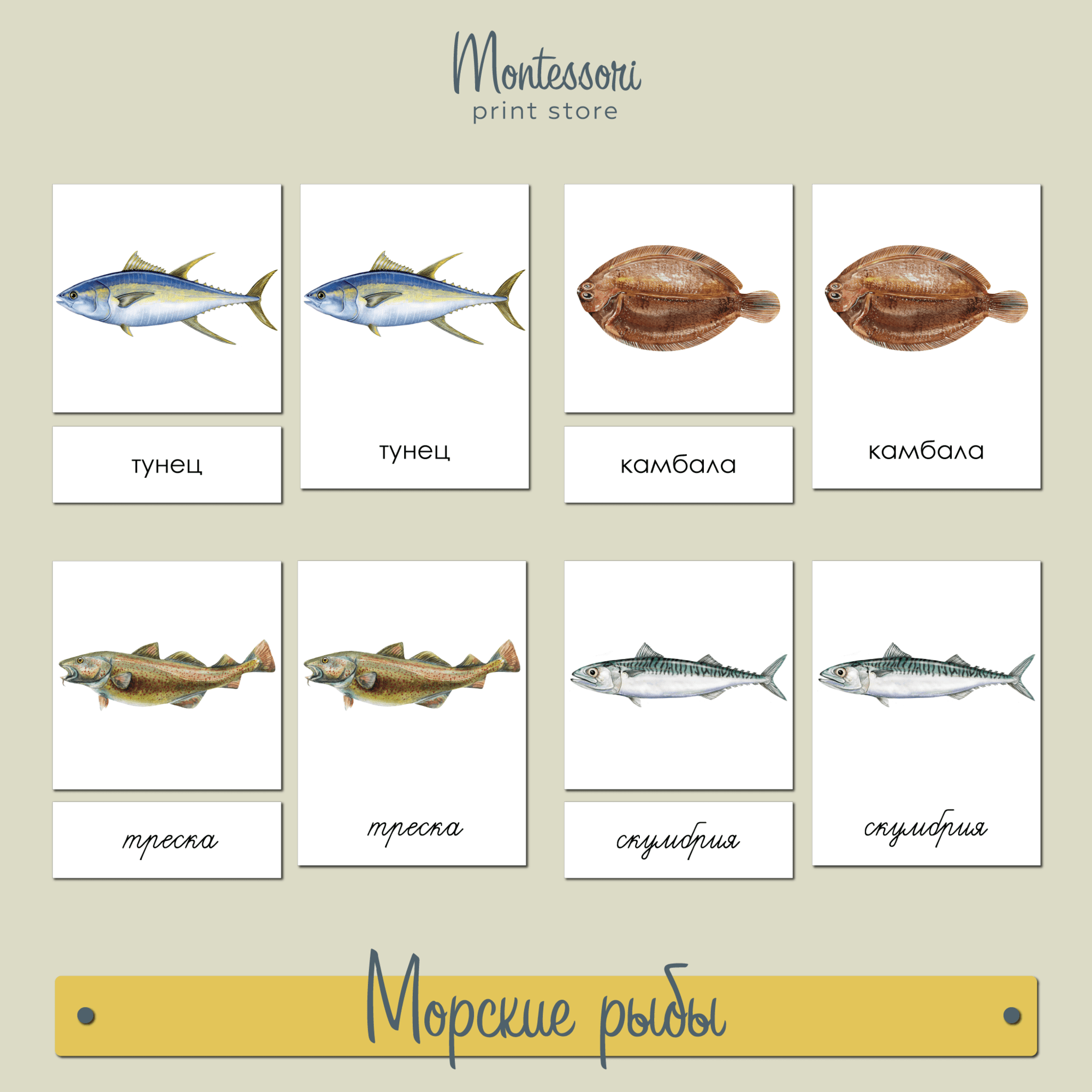 Морские рыбы - трехчастные карточки Монтессори купить и скачать