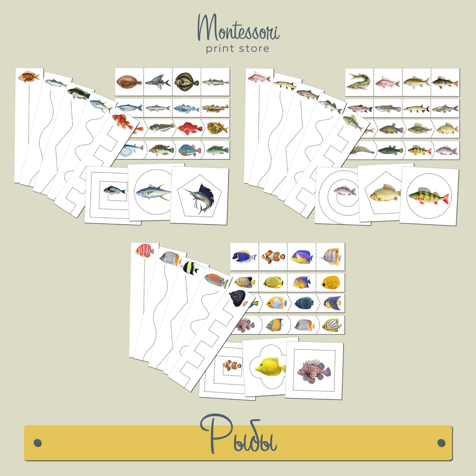 Полосы для вырезания Рыбы - вырезание Монтессори купить и скачать
