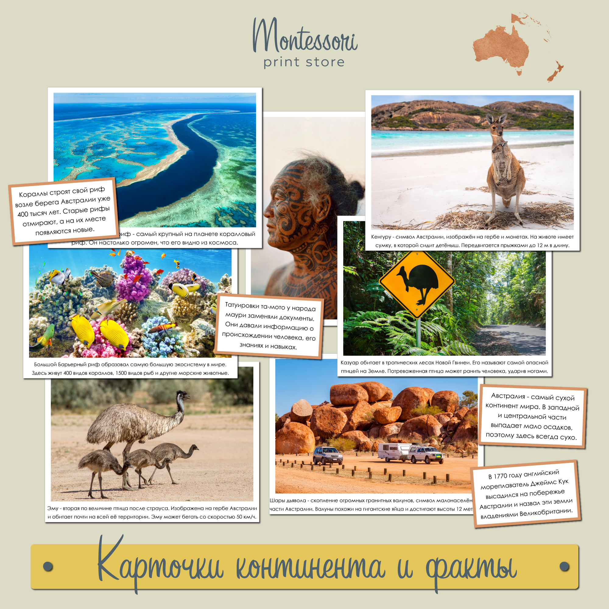 Карточки континента и факты Австралия и Океания - карточки Монтессори купить и скачать