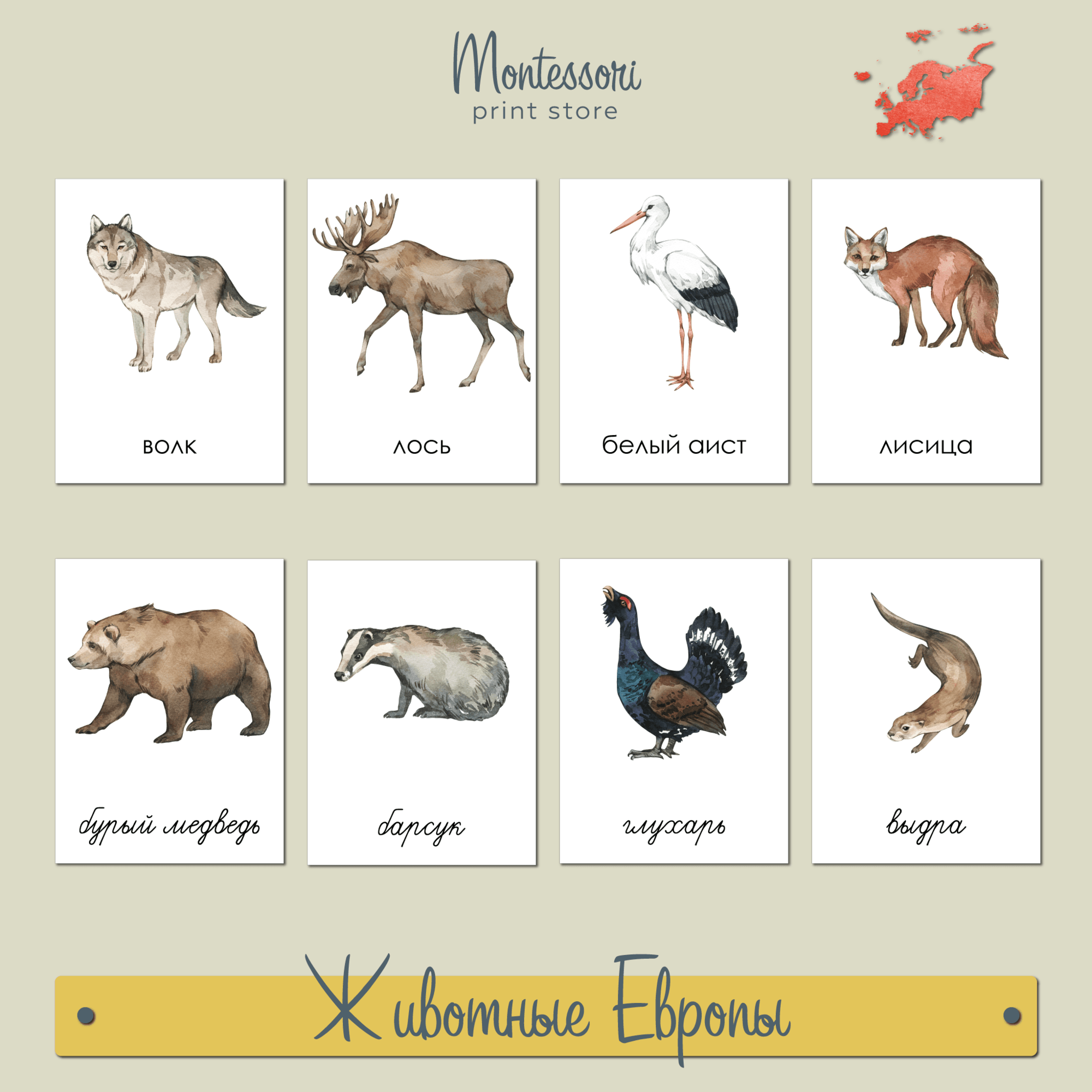 Животные Европы - карточки Монтессори купить и скачать