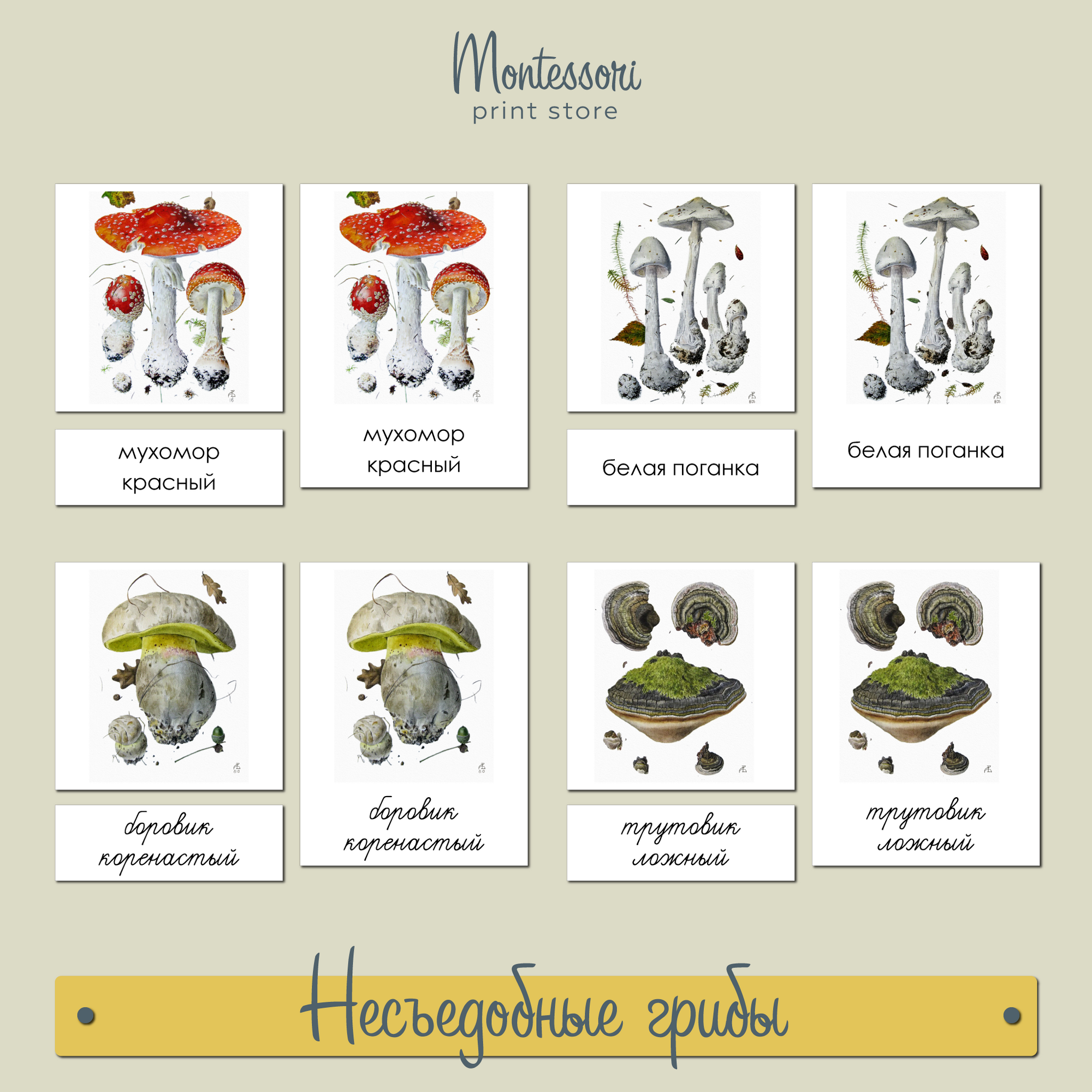 Несъедобные грибы в акварелях Александра Вязьменского - карточки Монтессори купить и скачать