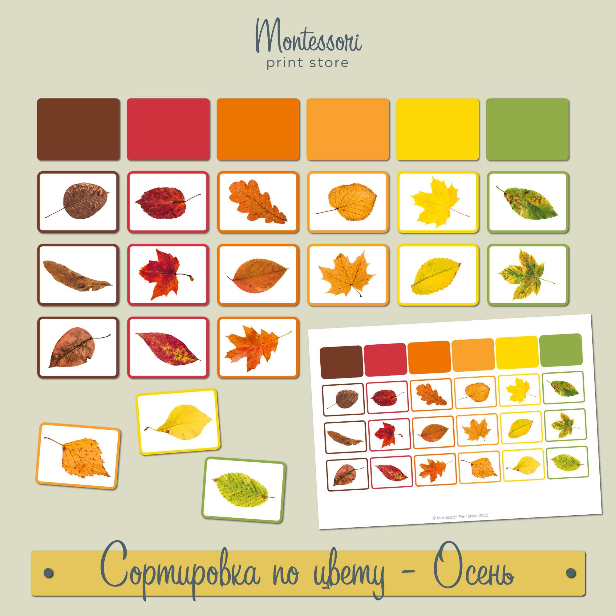 Сортировка по цвету осень - карточки Монтессори купить и скачать