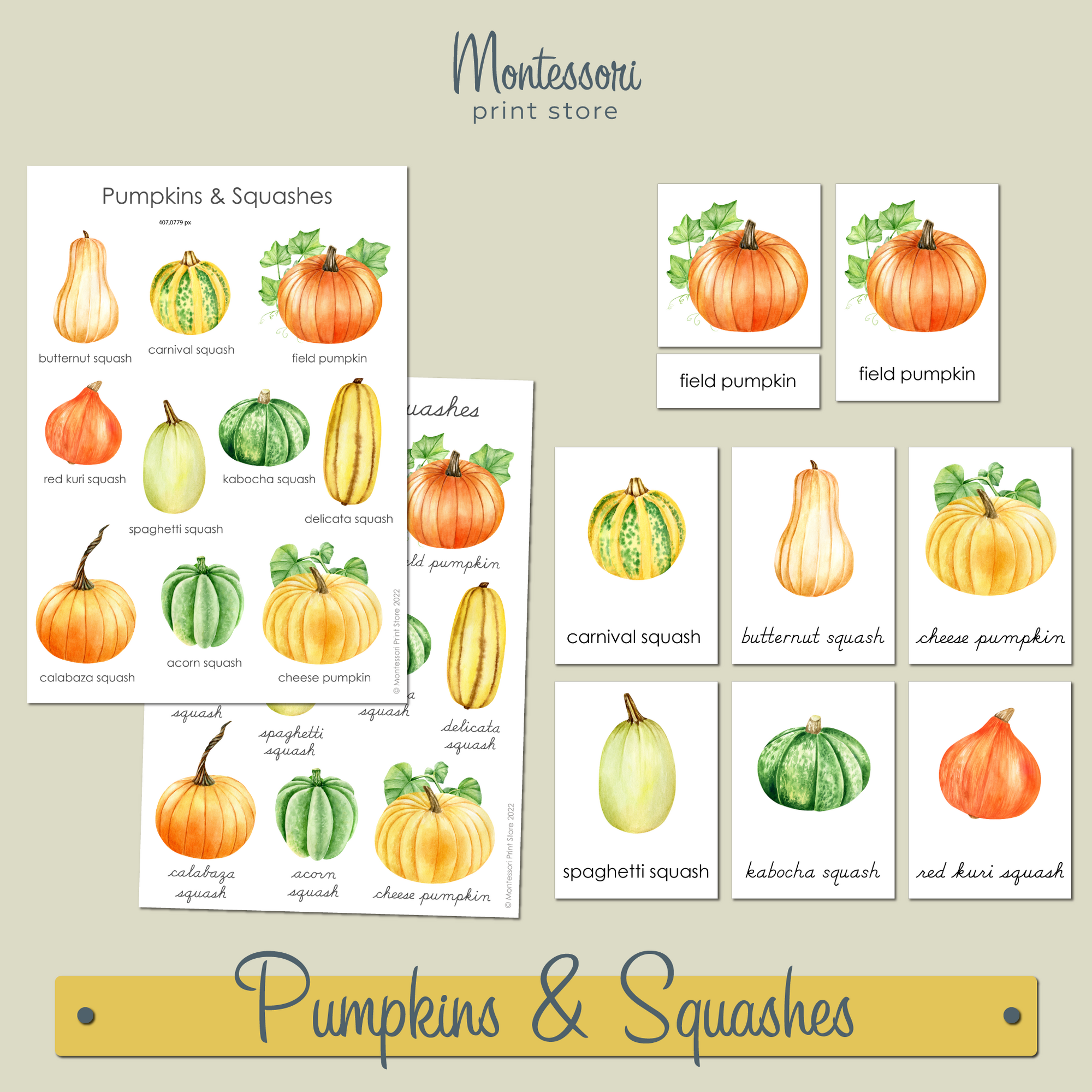 Pumpkins and Squashes 3-Part Cards - Montessori Nomenclature Cards