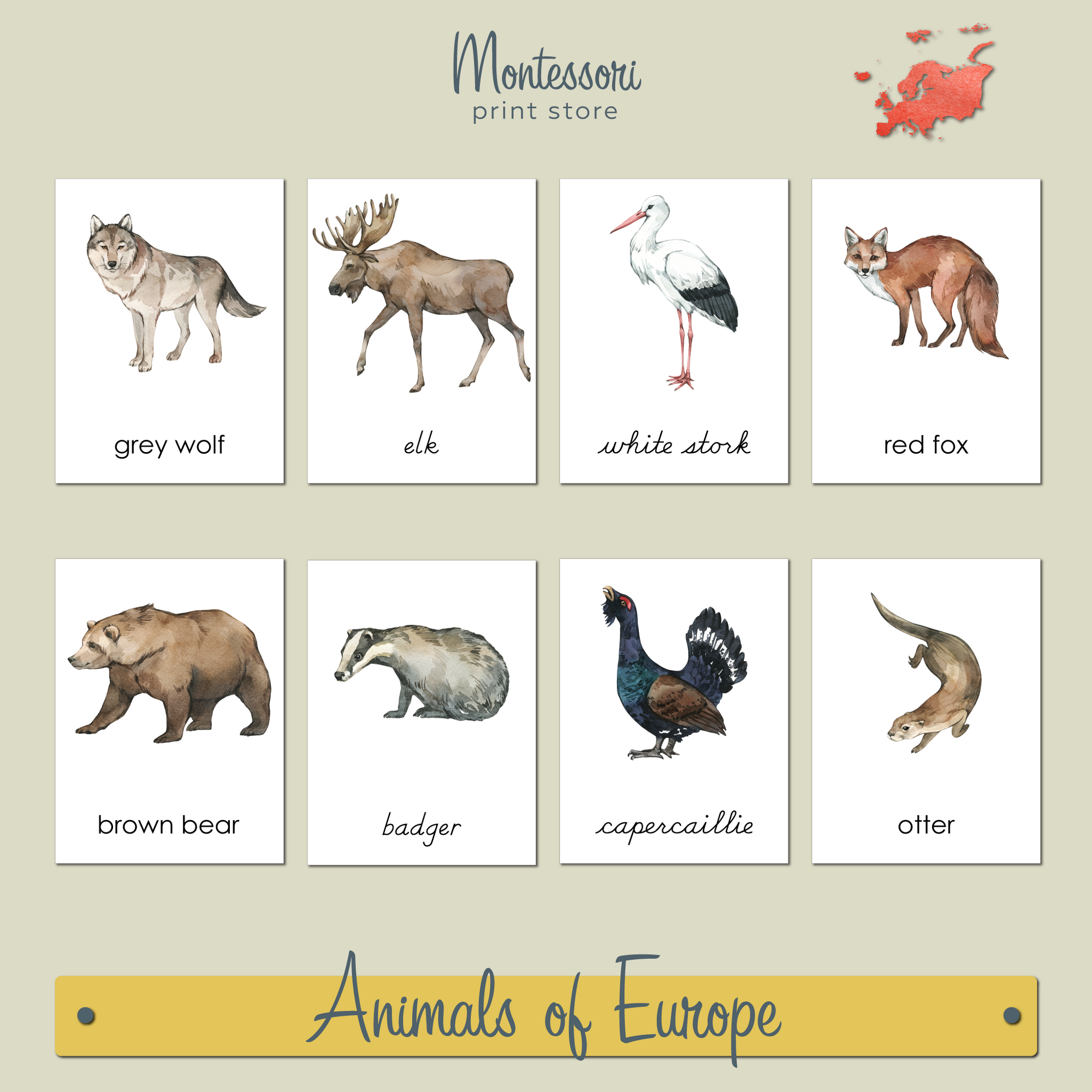 ANIMALS OF EUROPE 3-PART CARDS - MONTESSORI NOMENCLATURE CARDS