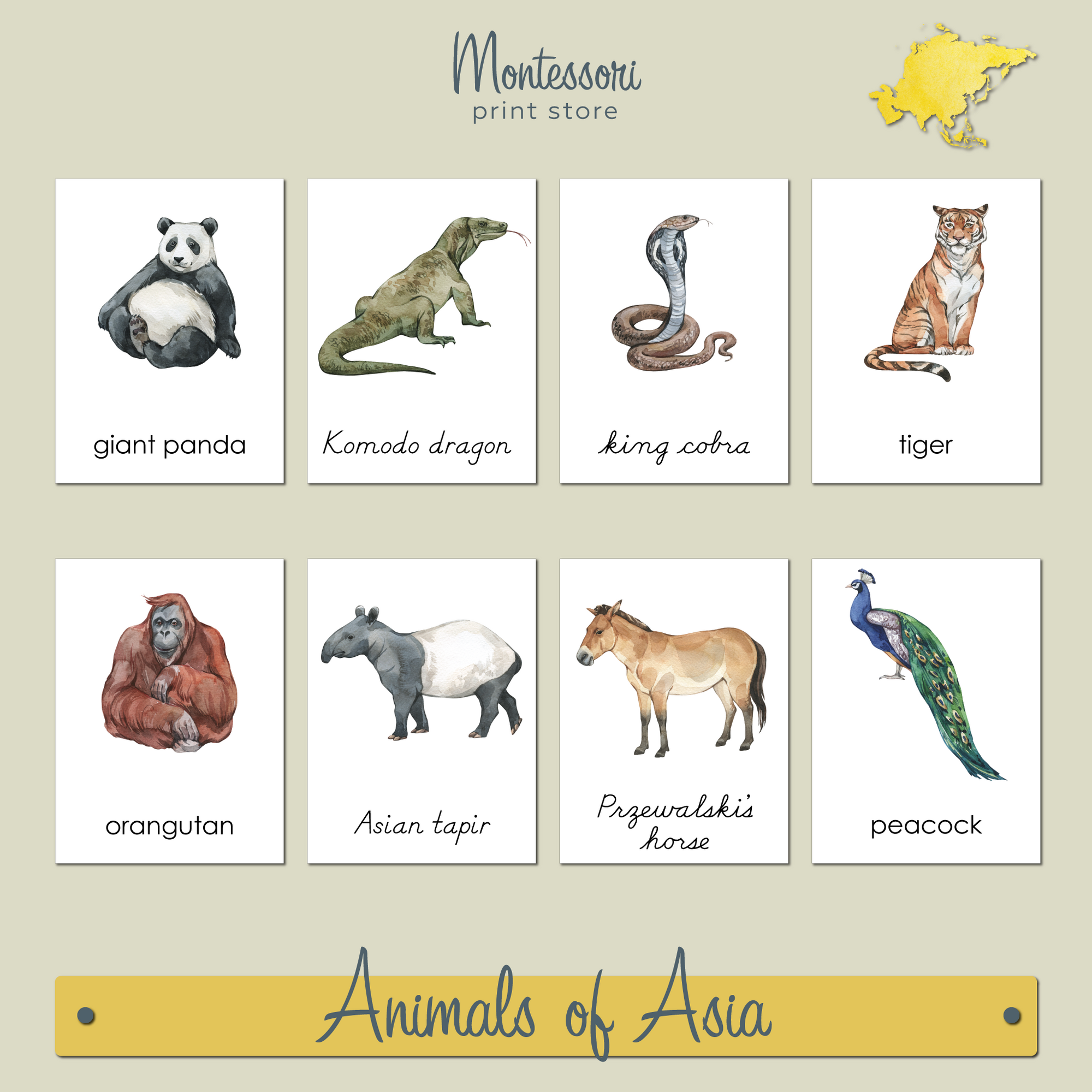 ANIMALS OF ASIA  3-PART CARDS - MONTESSORI NOMENCLATURE CARDS